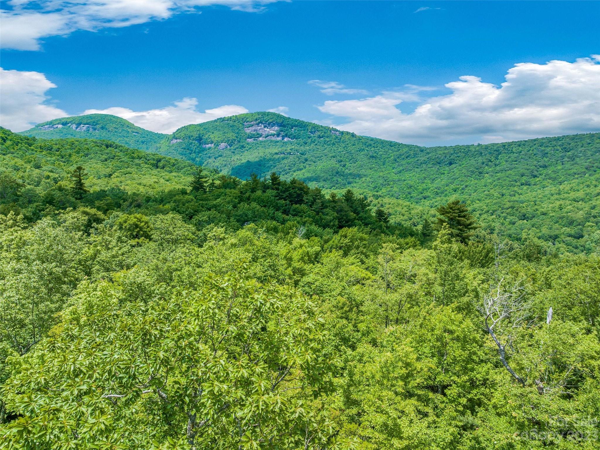 2 Cardinal Drive, Lake Toxaway, NC 28747