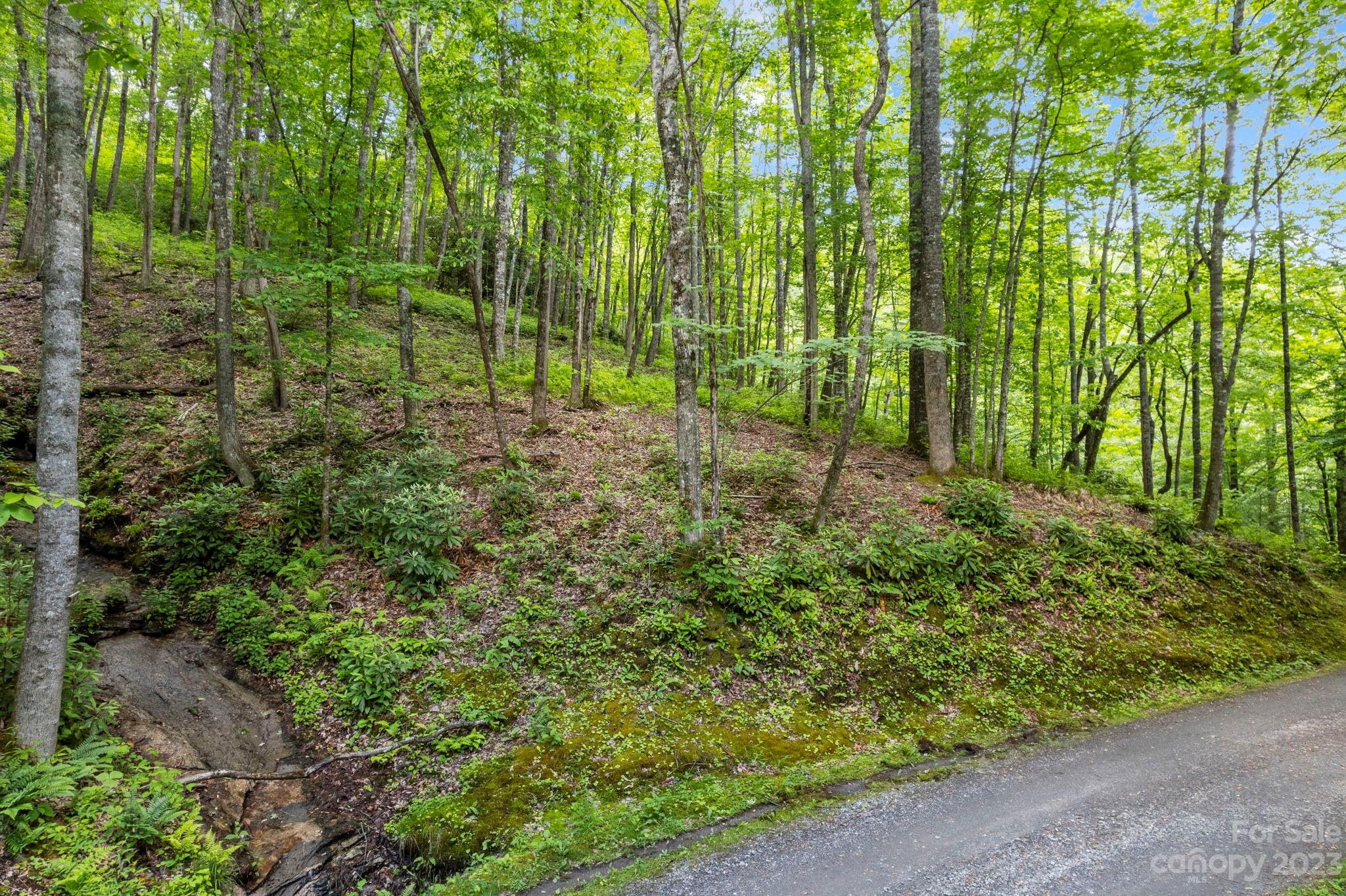 Lt 12C Von Trapp Lane, Tuckasegee, NC 28783