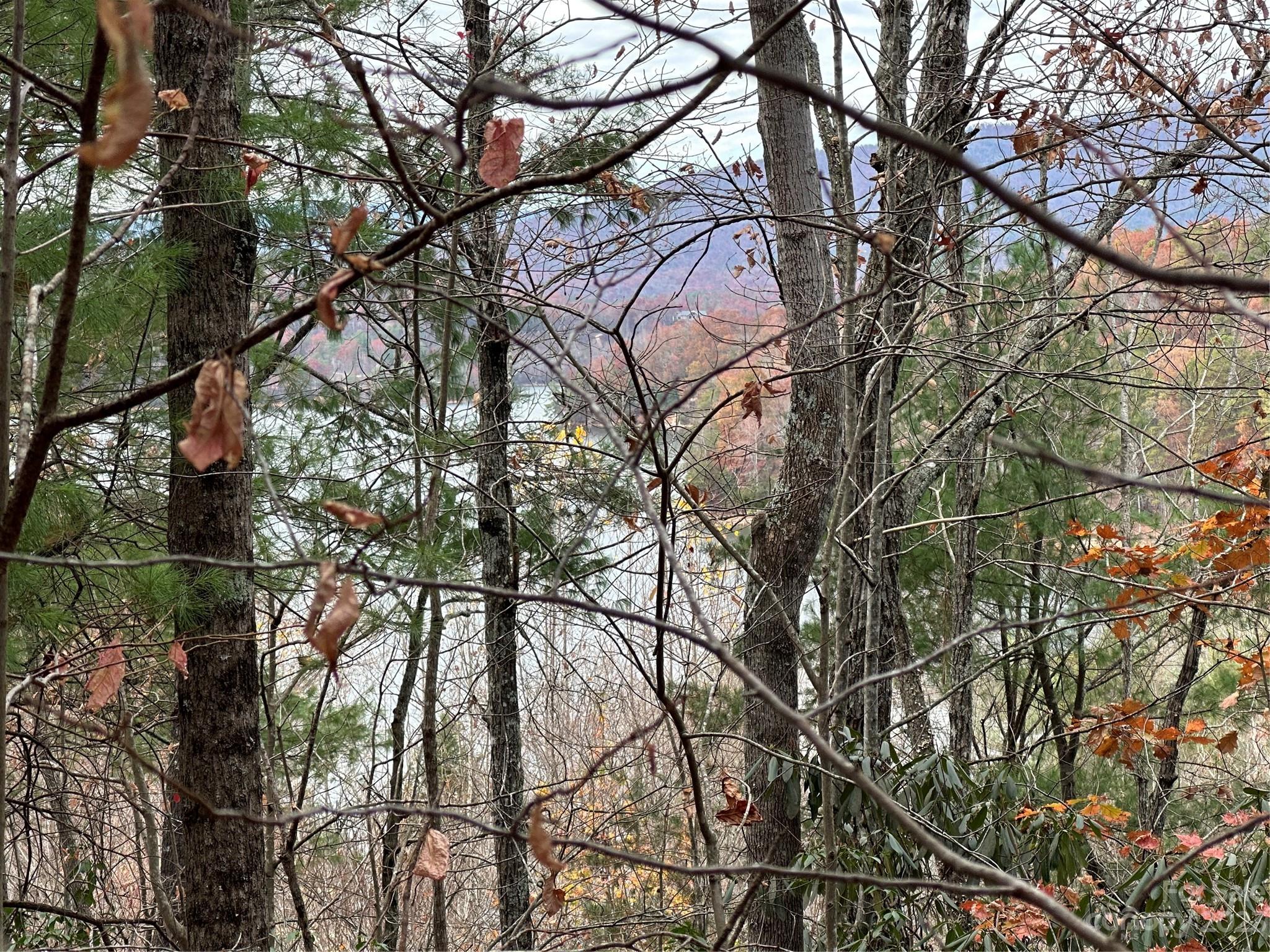 Lot 4 Waters Edge Drive, Nebo, NC 28761