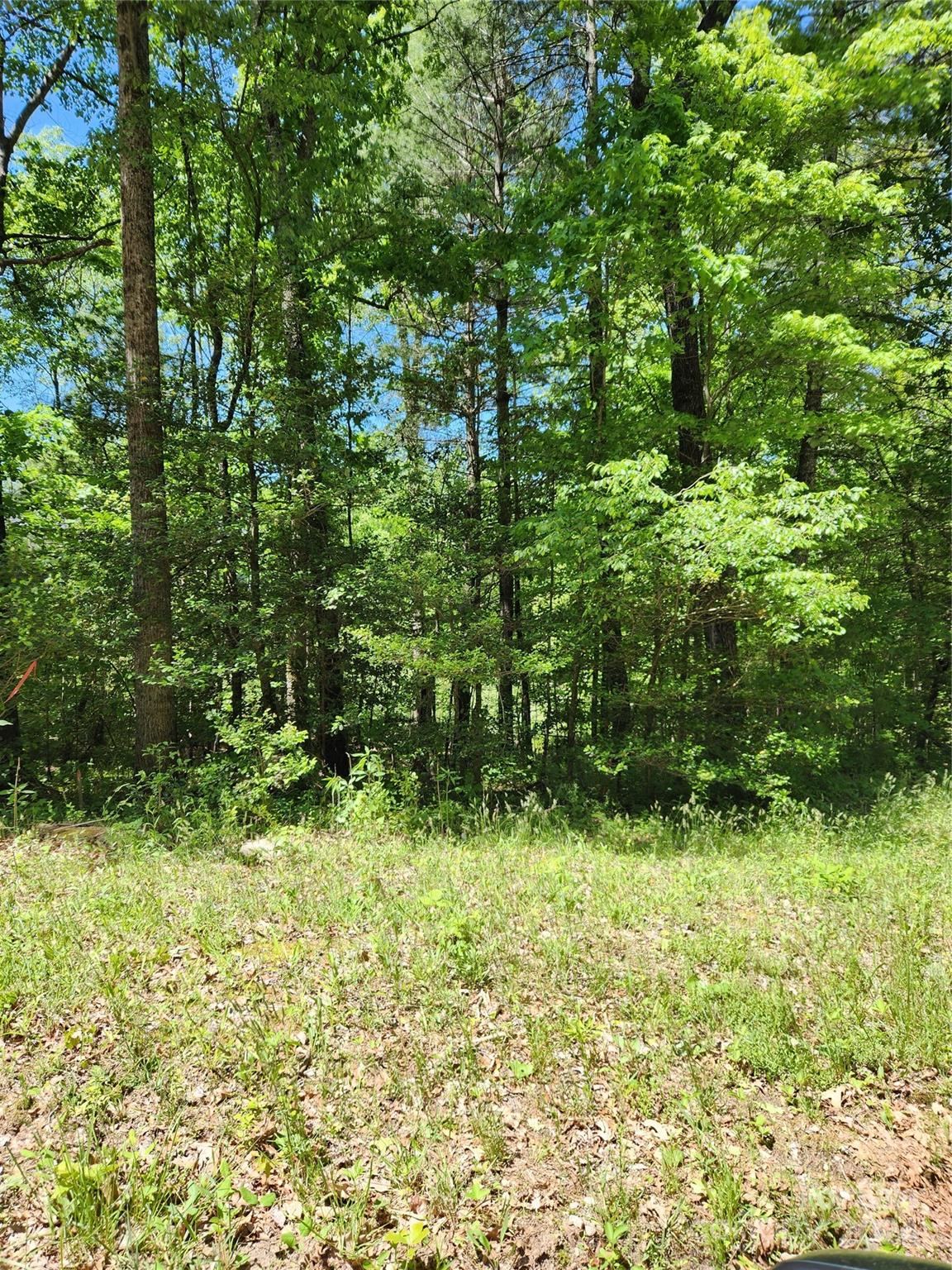 9 Tadpole Lane, Taylorsville, NC 28681