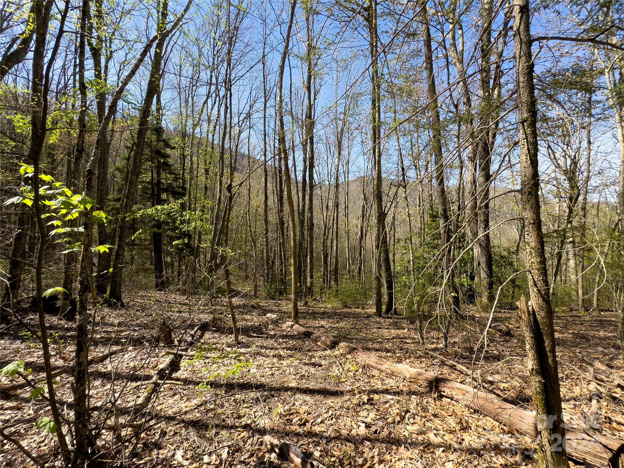 Lot 80 Shangri Lane, Qualla, NC 28719