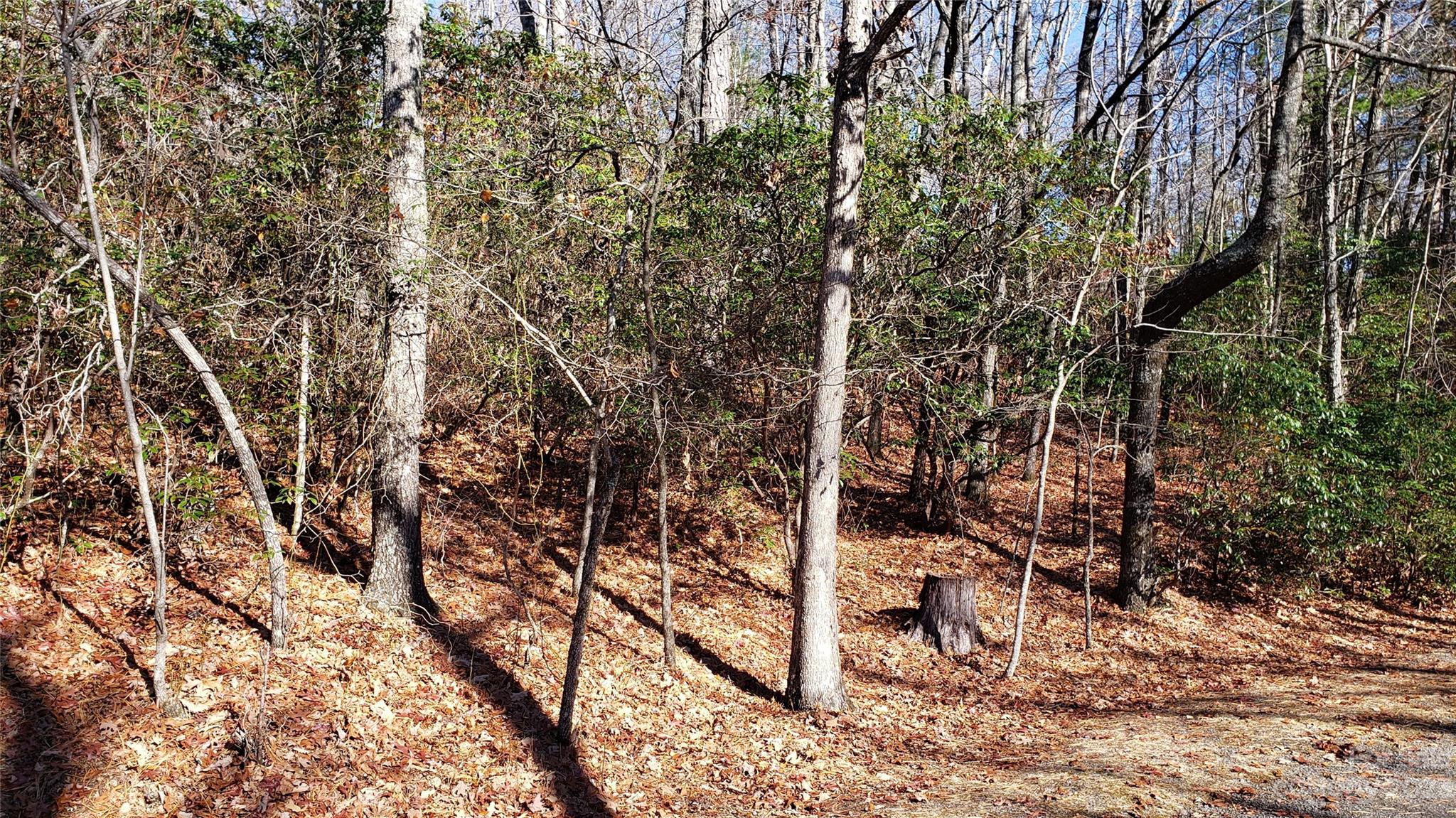 9999 Galax Lane, Brevard, NC 28712