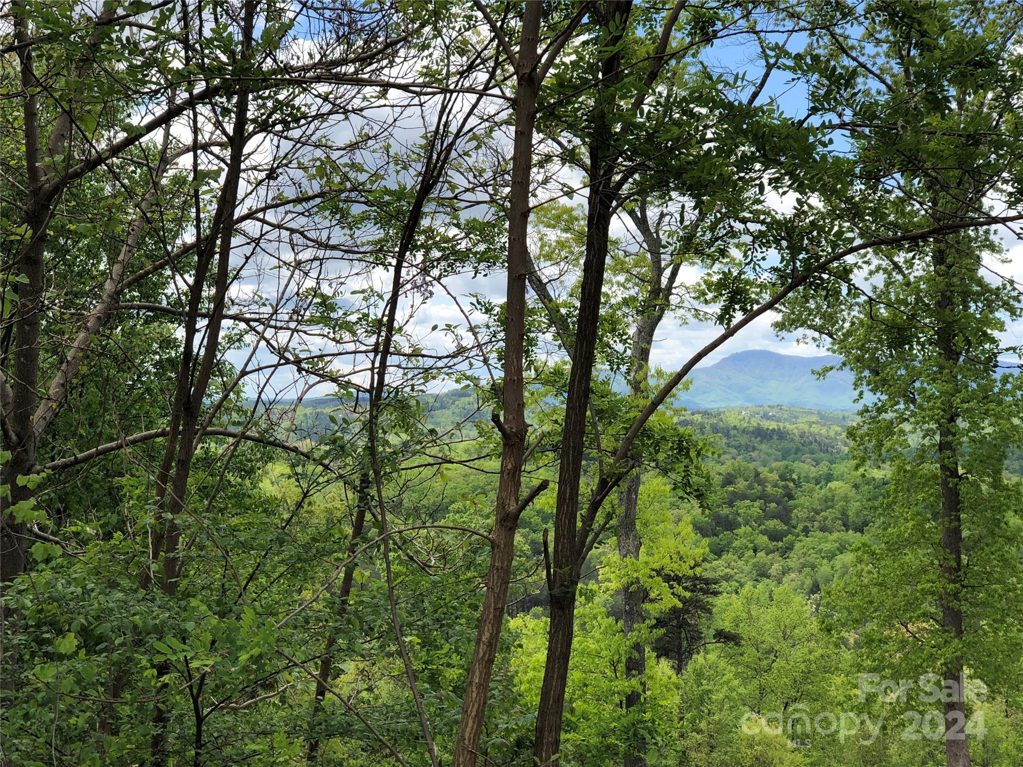0 High Rock Ridge, Lake Lure, NC 28746