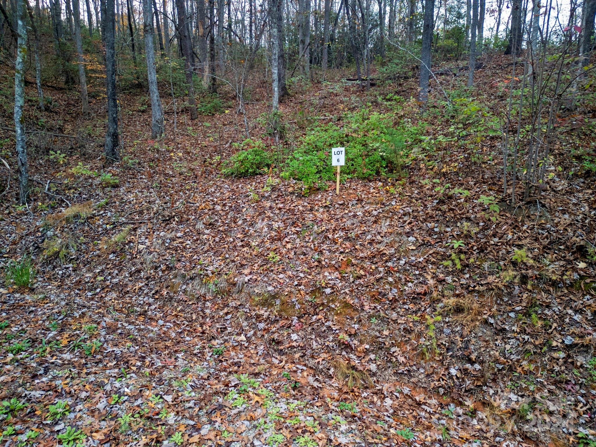 116 Cherry Cove Way, Old Fort, NC 28762