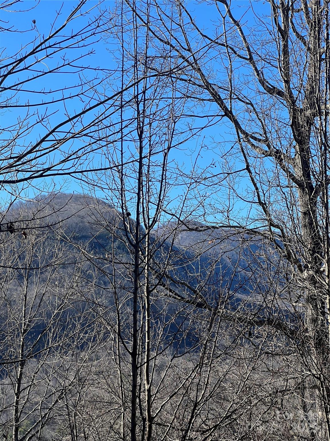 Lot 42 Hawks Nest Trail, Lake Lure, NC 28746