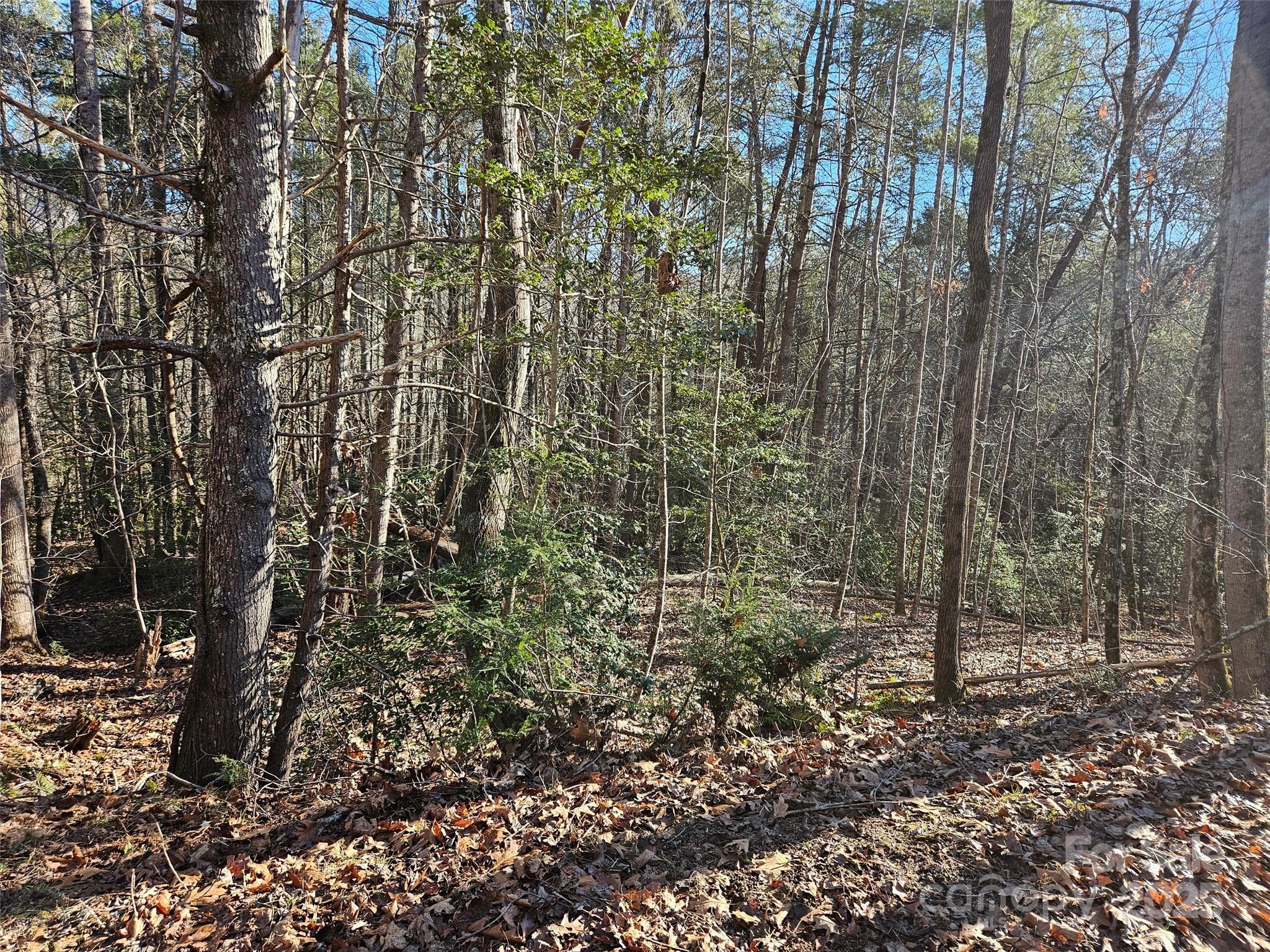 0 Roadrunner Circle, Lake Lure, NC 28746