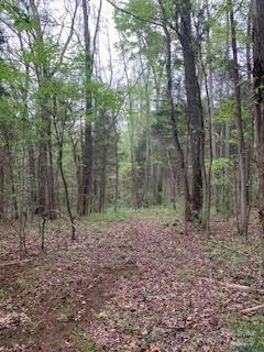 8.21 Acres Marshall Road, Rock Hill, SC 29730