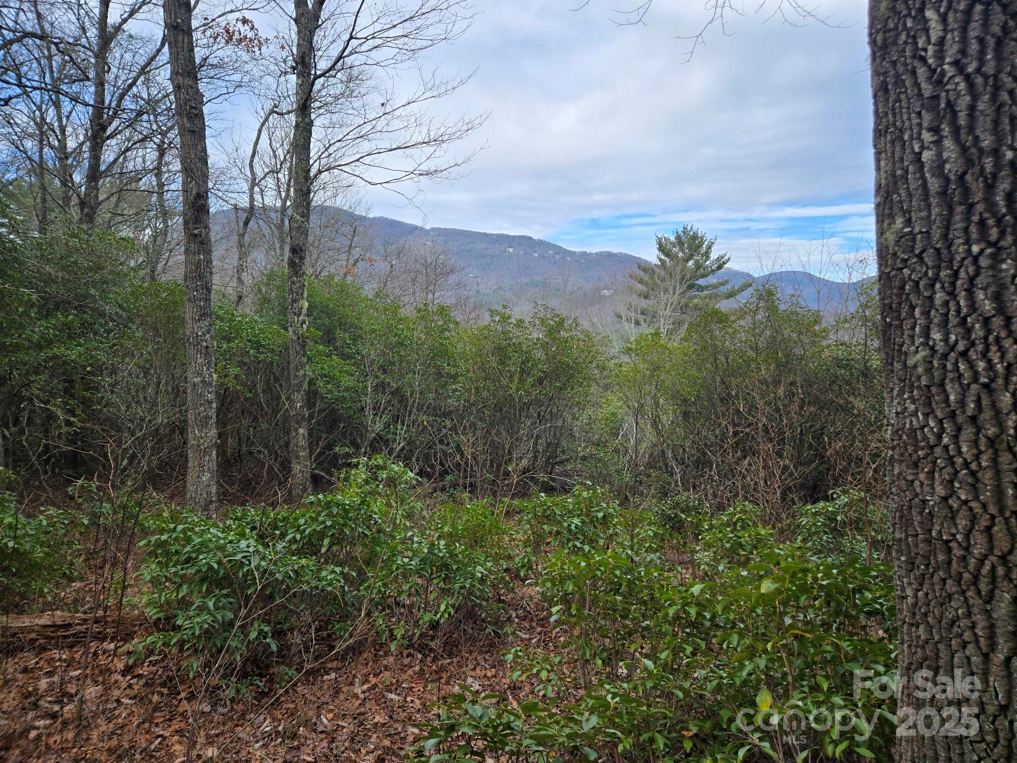 TBD Lakeside Drive, Lake Toxaway, NC 28747