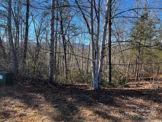 Lot 37 Mountain Lane, Mill Spring, NC 28756