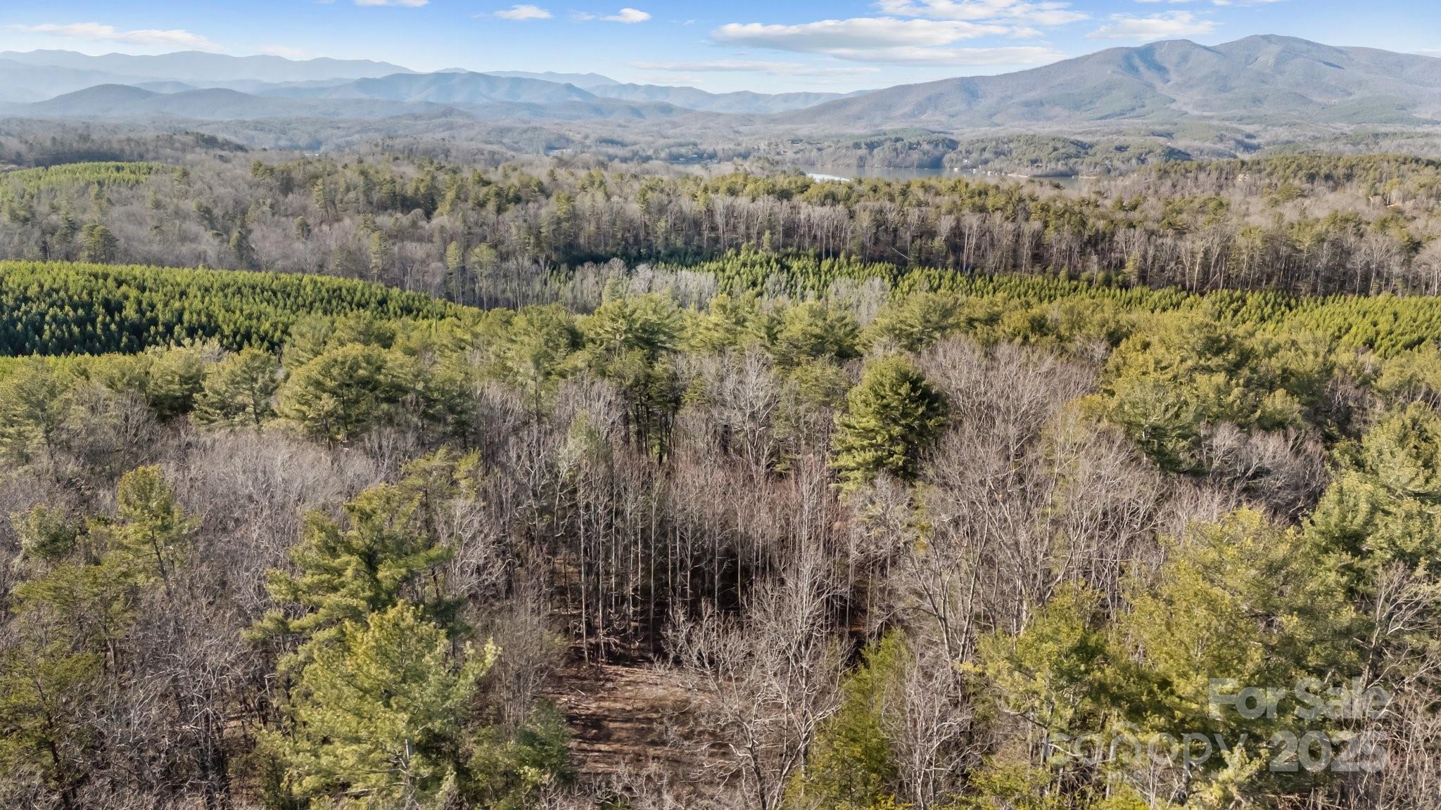 517 Old Wildlife Club Drive, Nebo, NC 28761