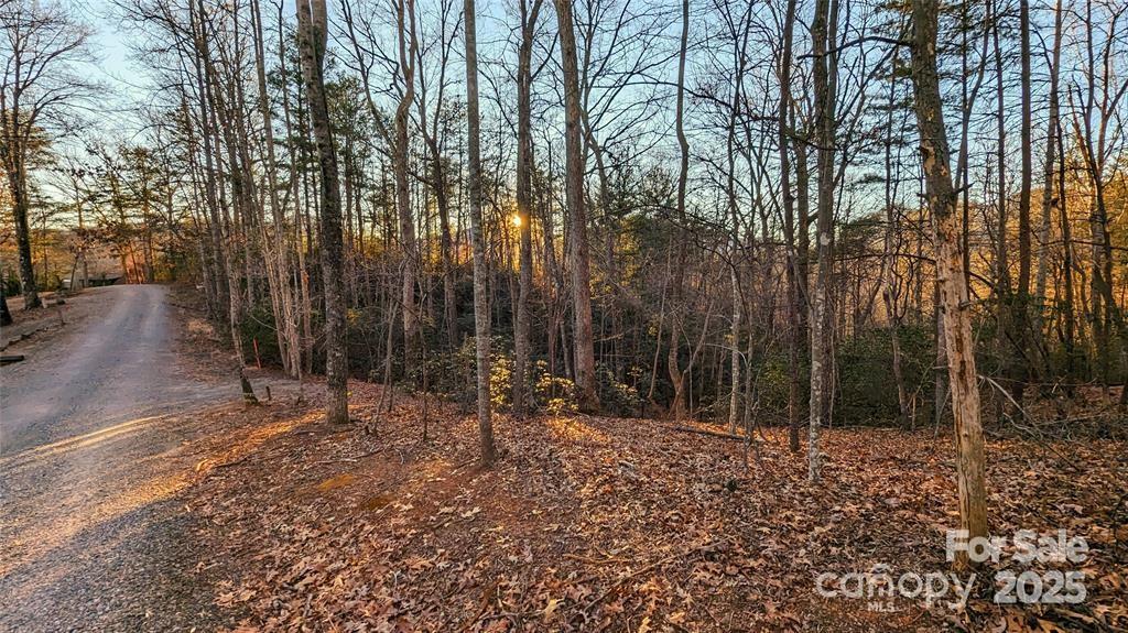 108 Wilderness Road, Lake Lure, NC 28746