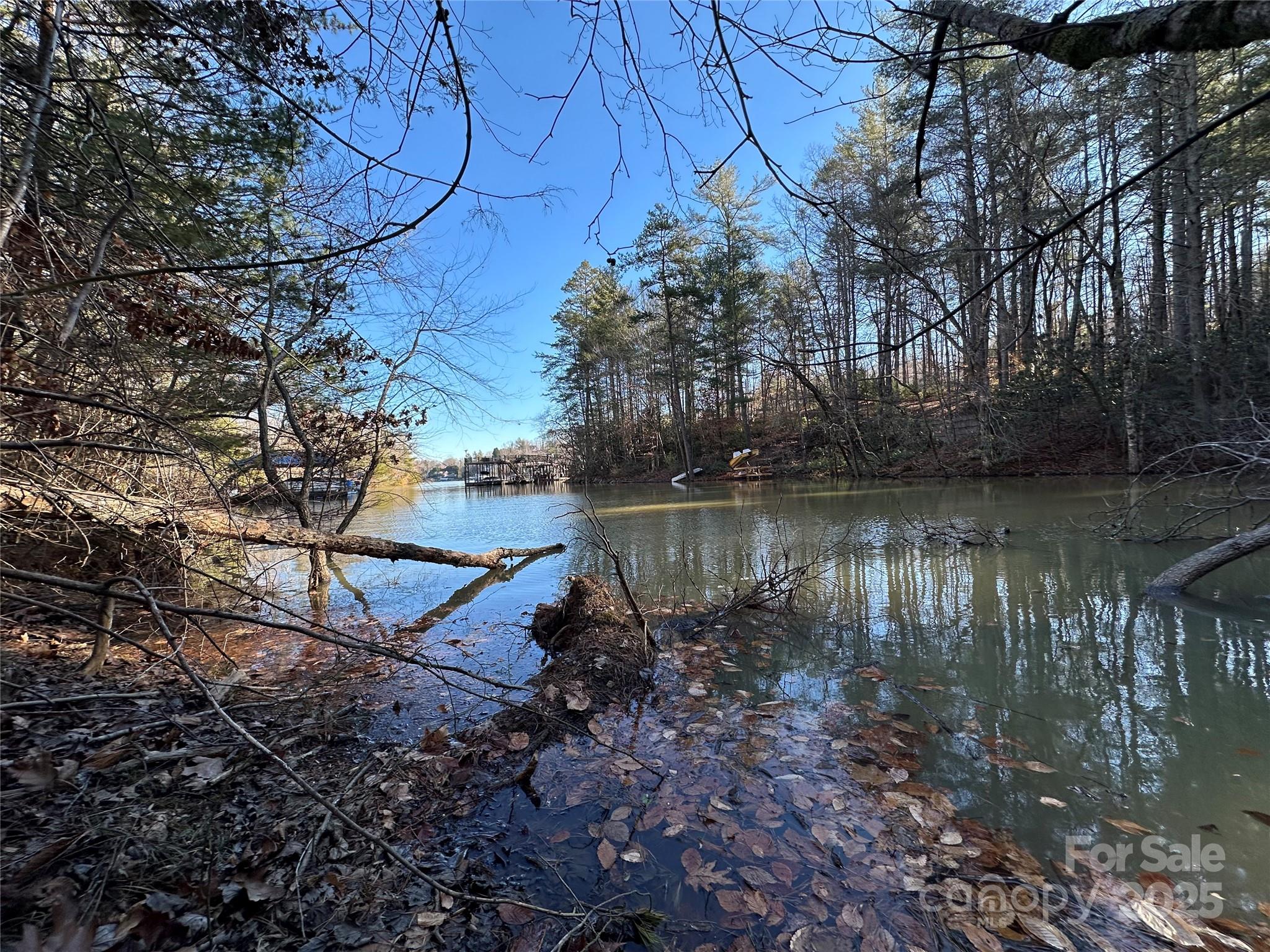 178 Lentz Landing Lane, Nebo, NC 28761
