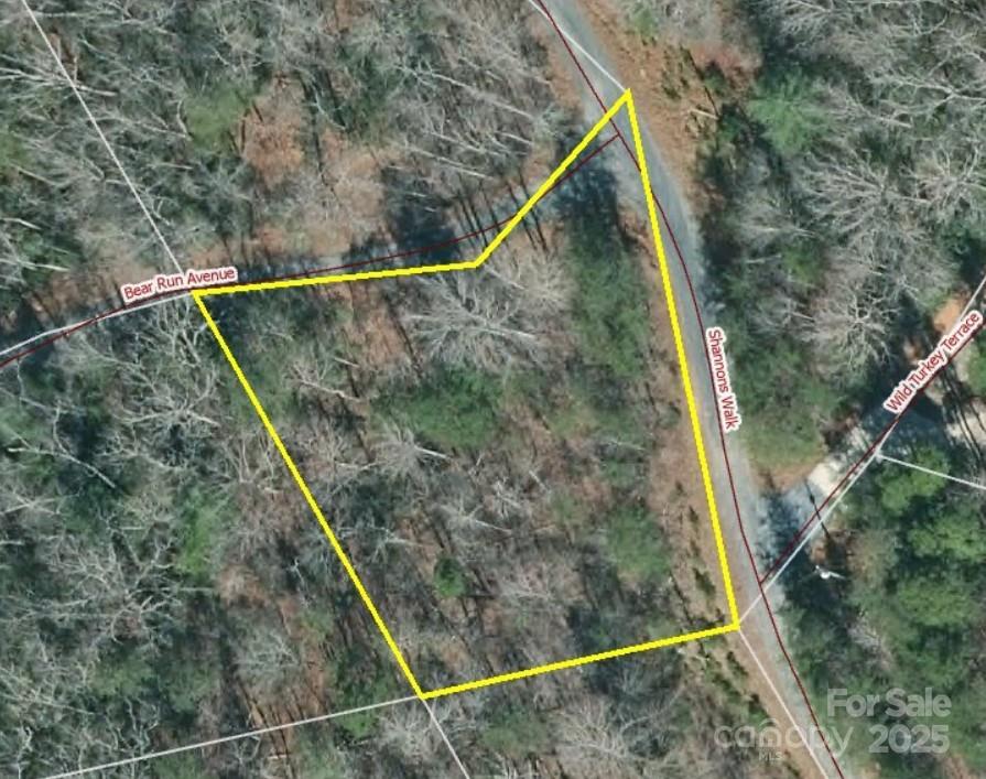 0000 Bear Run Avenue, Lake Lure, NC 28746
