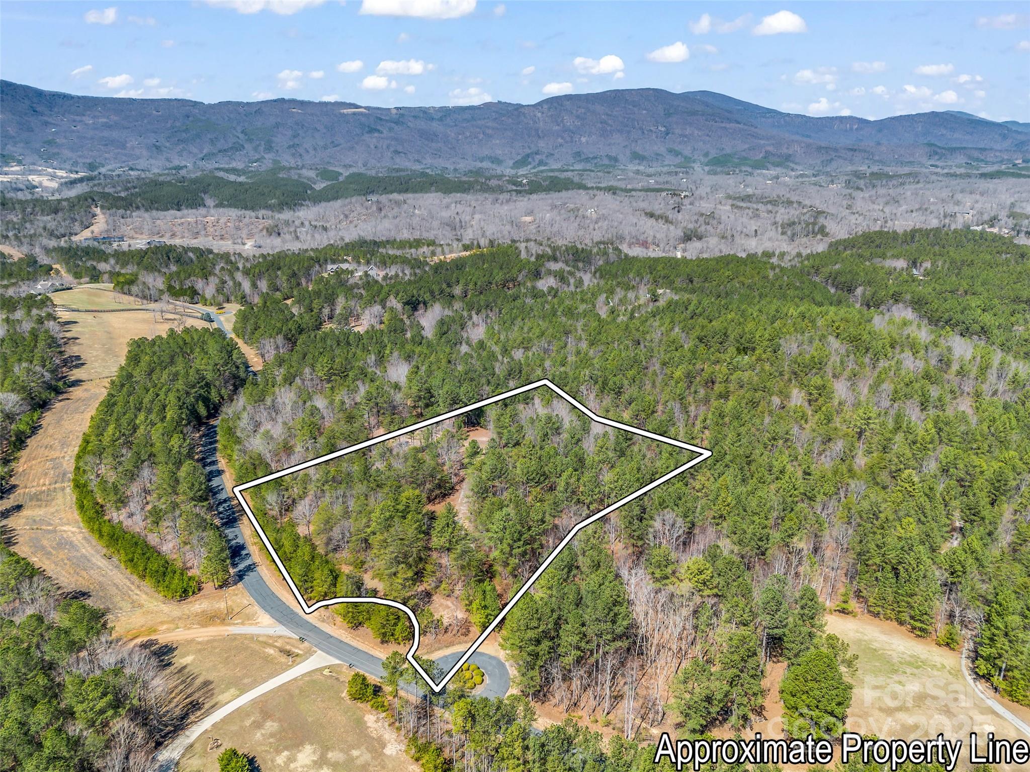 28 River Park Lane, Mill Spring, NC 28756