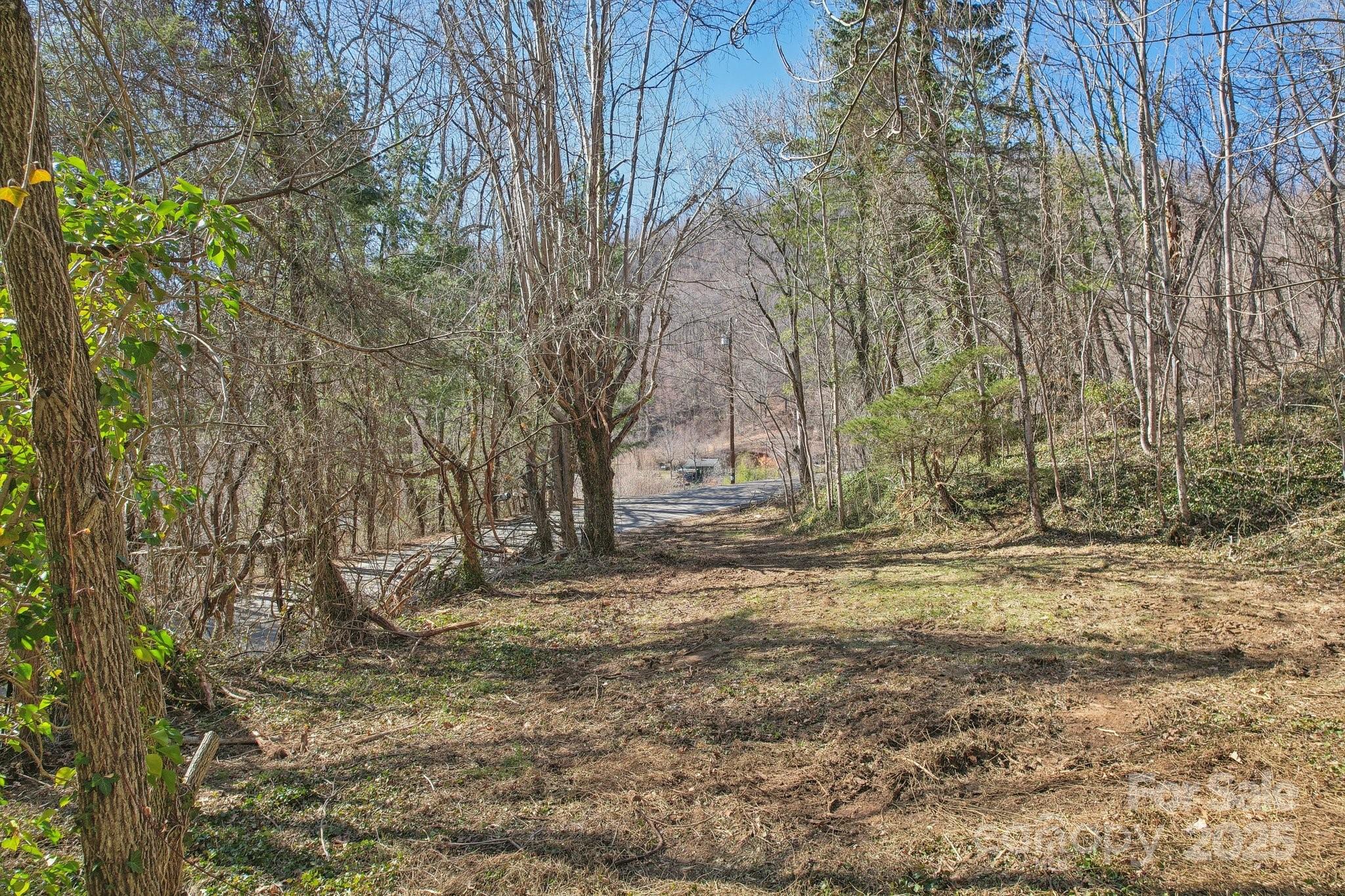 151 Maney Branch Road, Weaverville, NC 28787