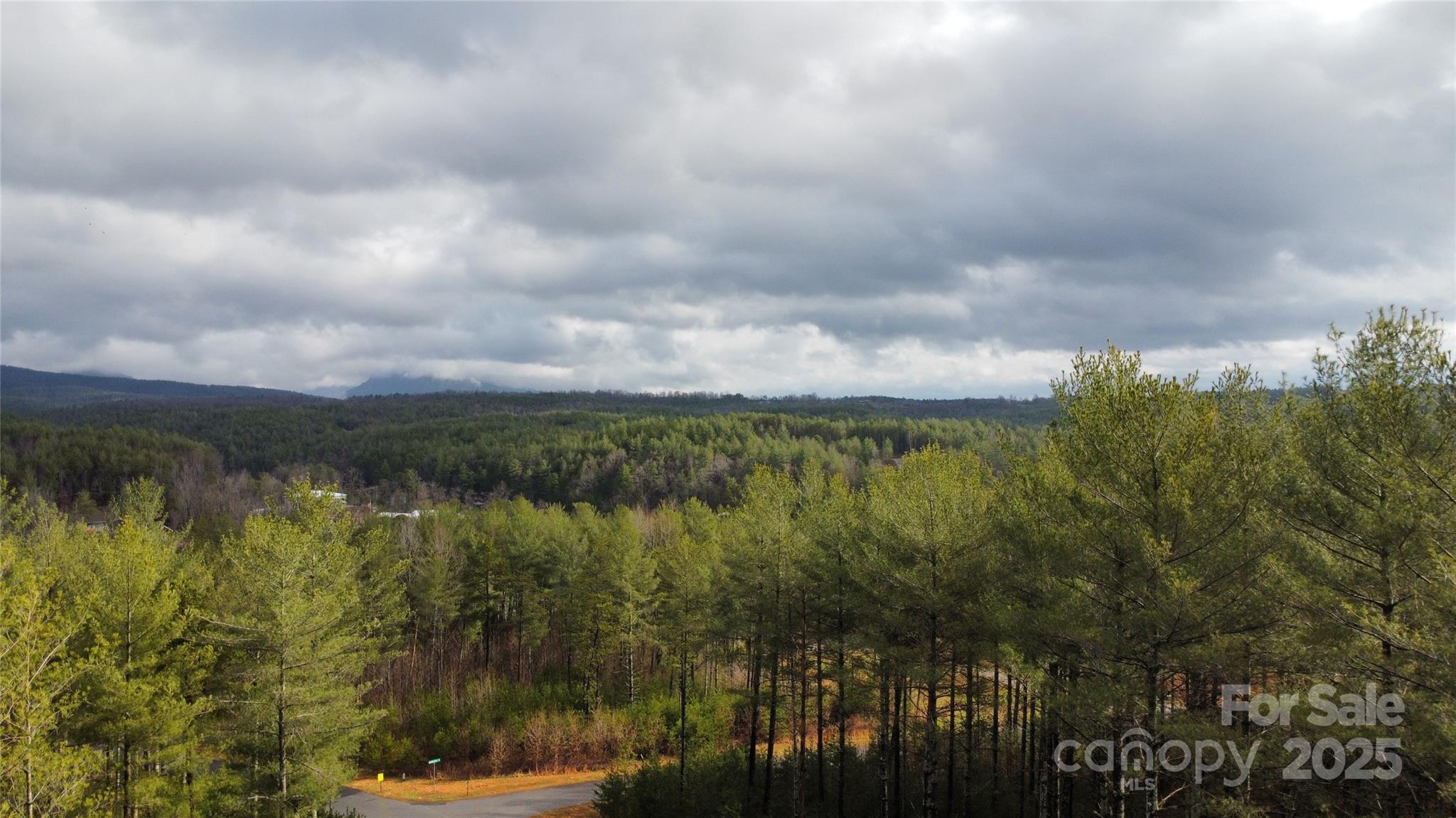 26 Peninsula Reserve Road, Nebo, NC 28761