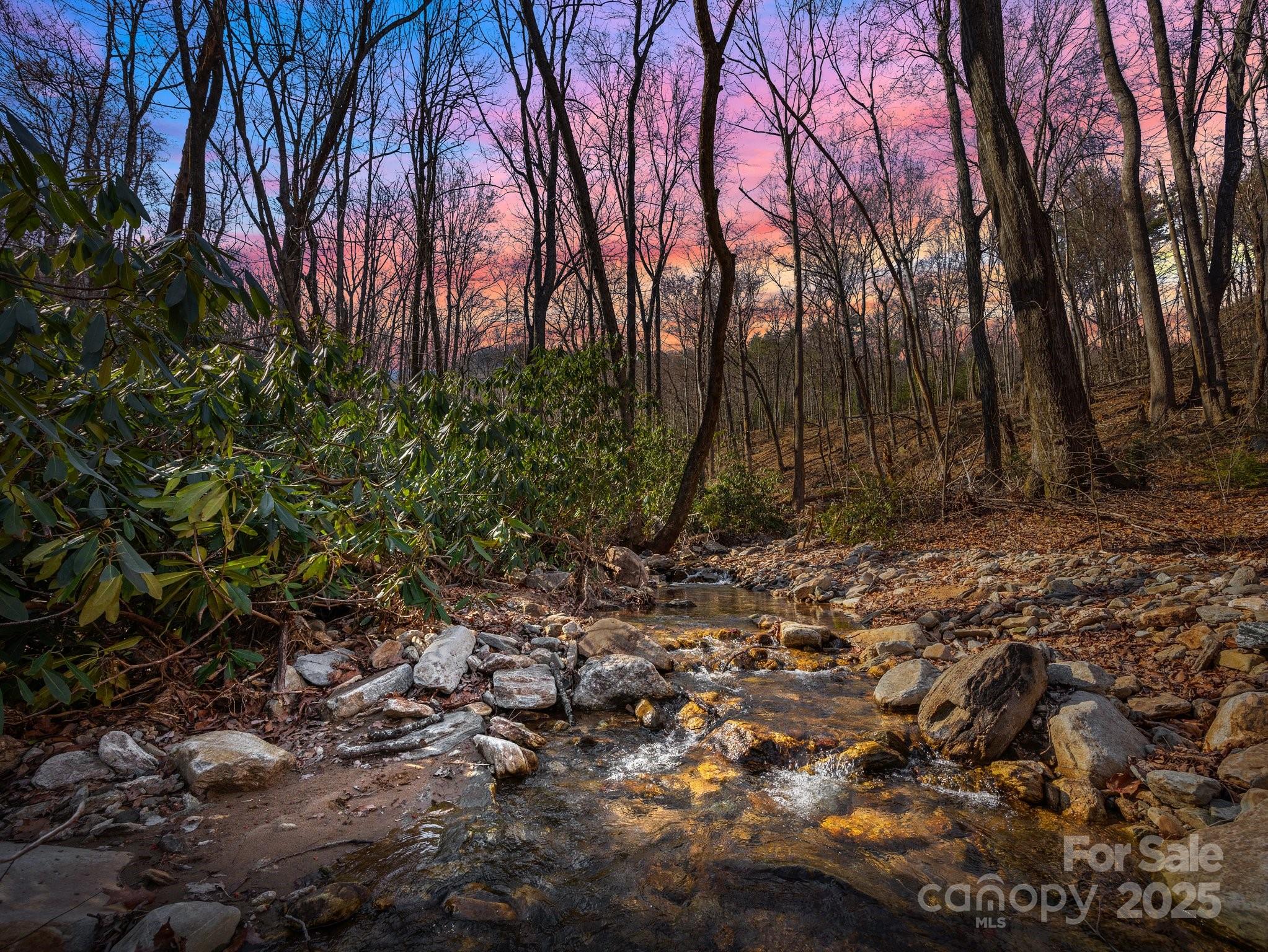 000 Stafford Lane, Mill Spring, NC 28756