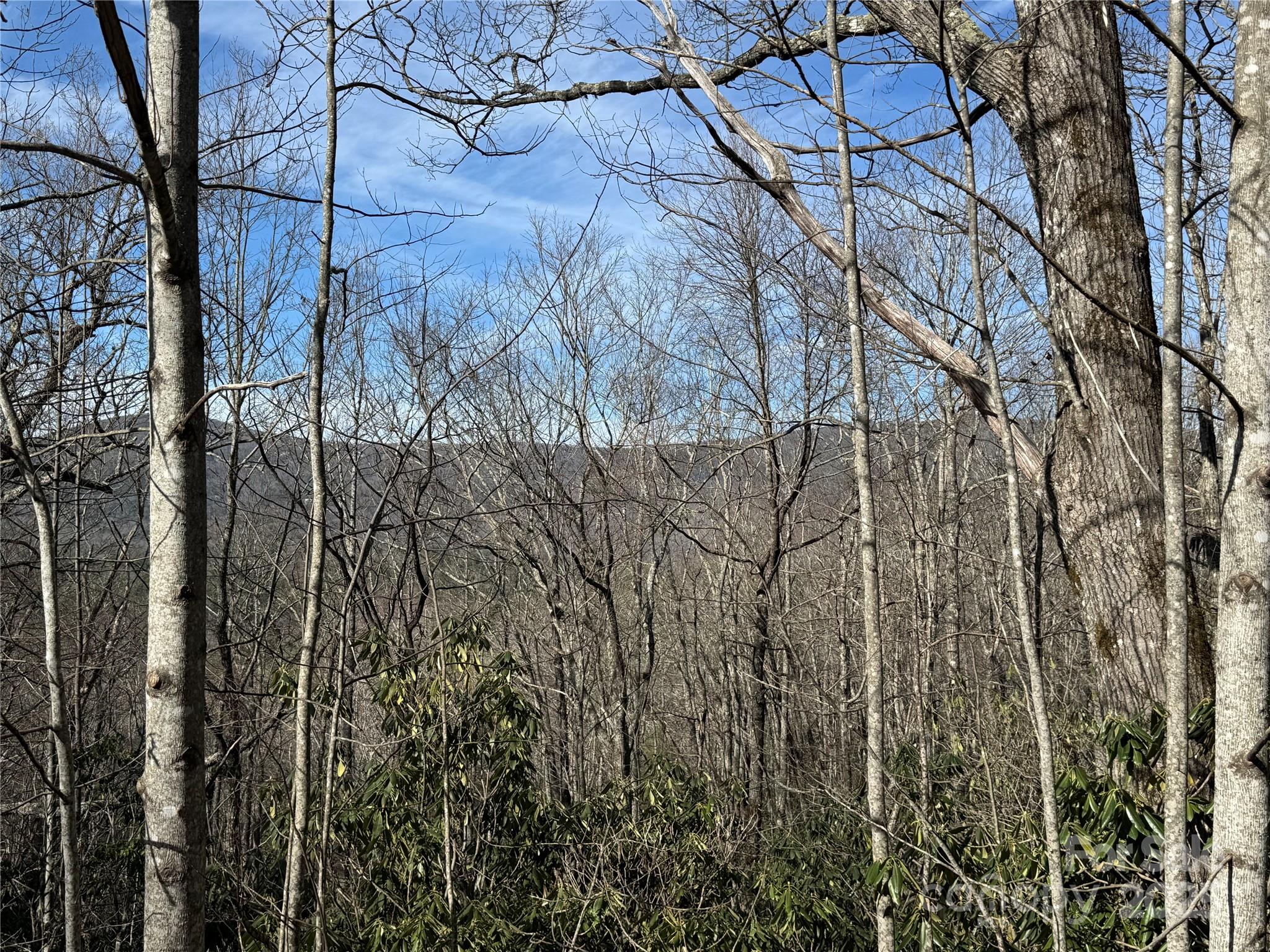 L13 Black Bear Court, Sapphire, NC 28774