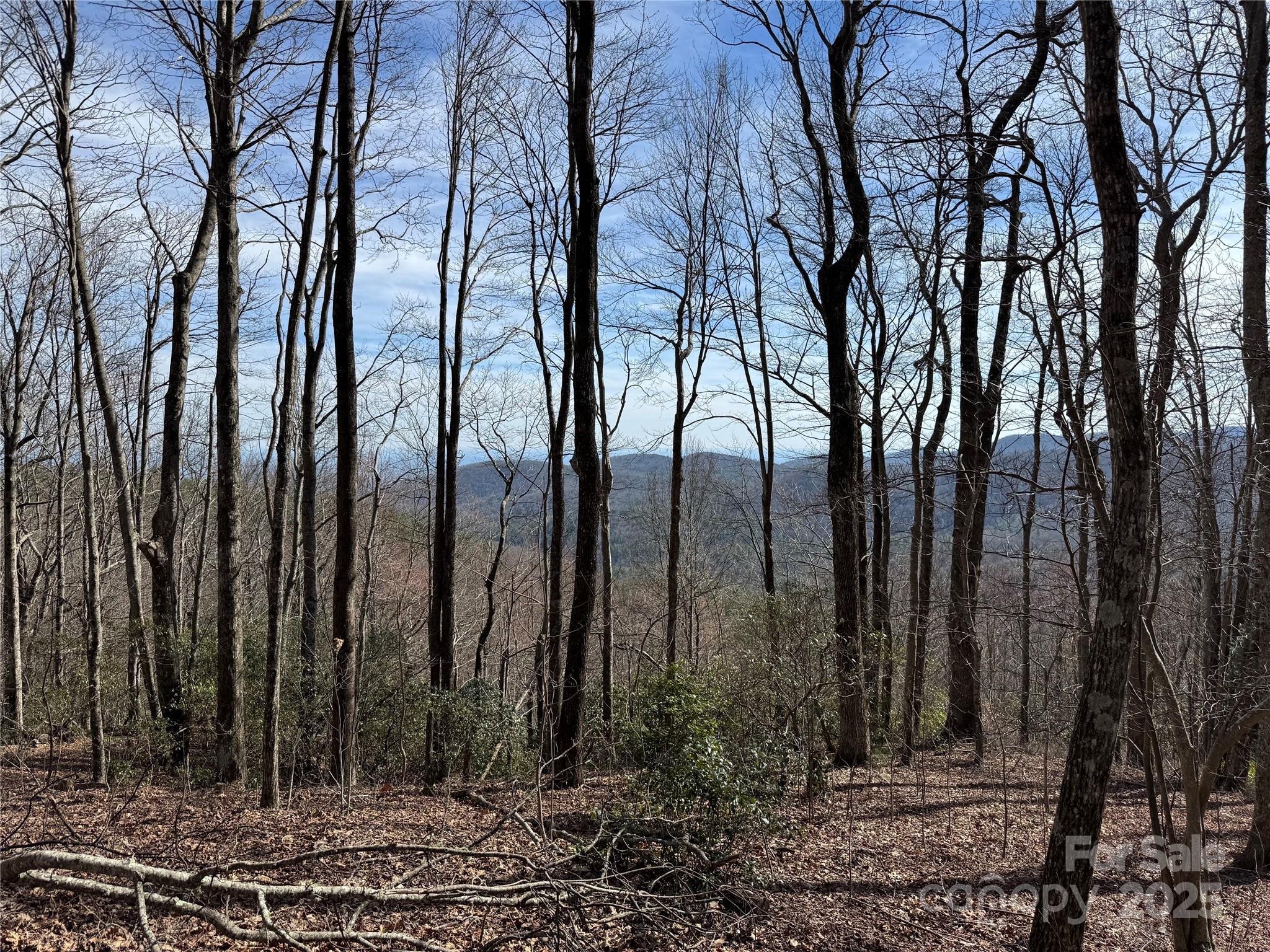 L5 Windy Gap Lane, Sapphire, NC 28774