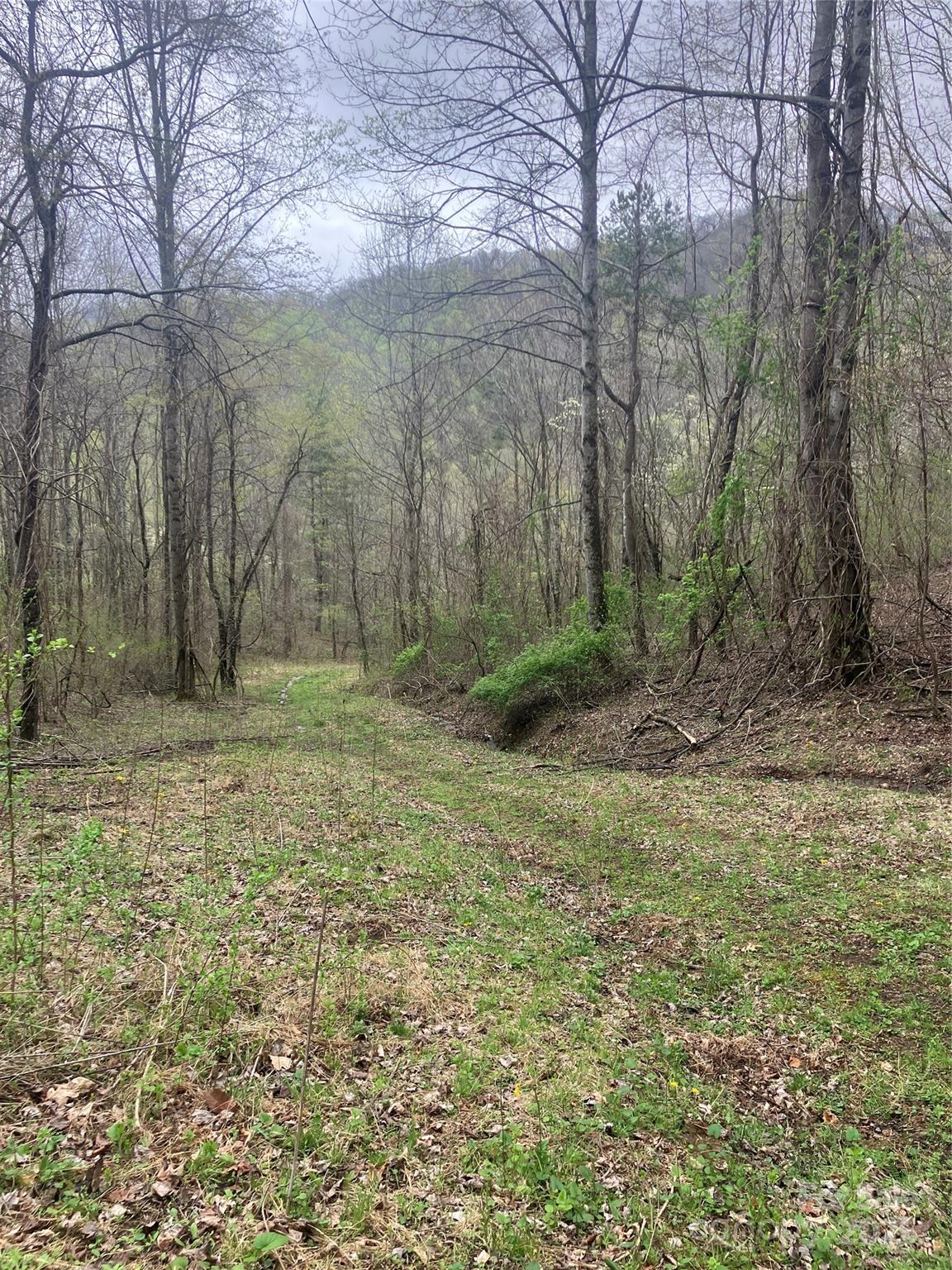 9999 Davidson Gap Road, Leicester, NC 28748