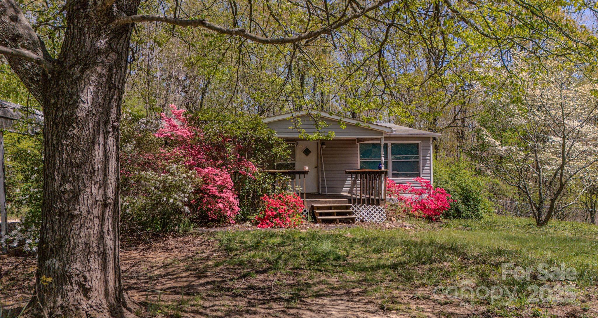 19 Blackberry Lane, Candler, NC 28715