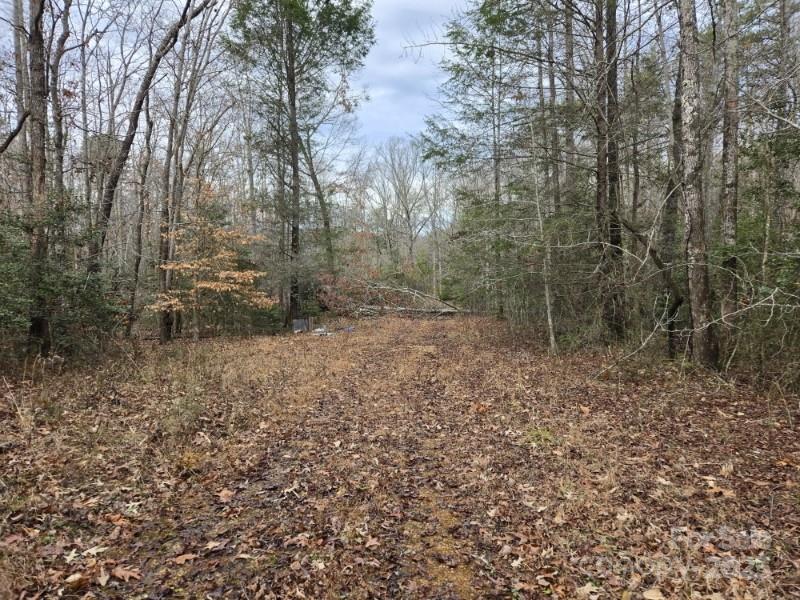 567 Drucilla Church Road, Nebo, NC 28761