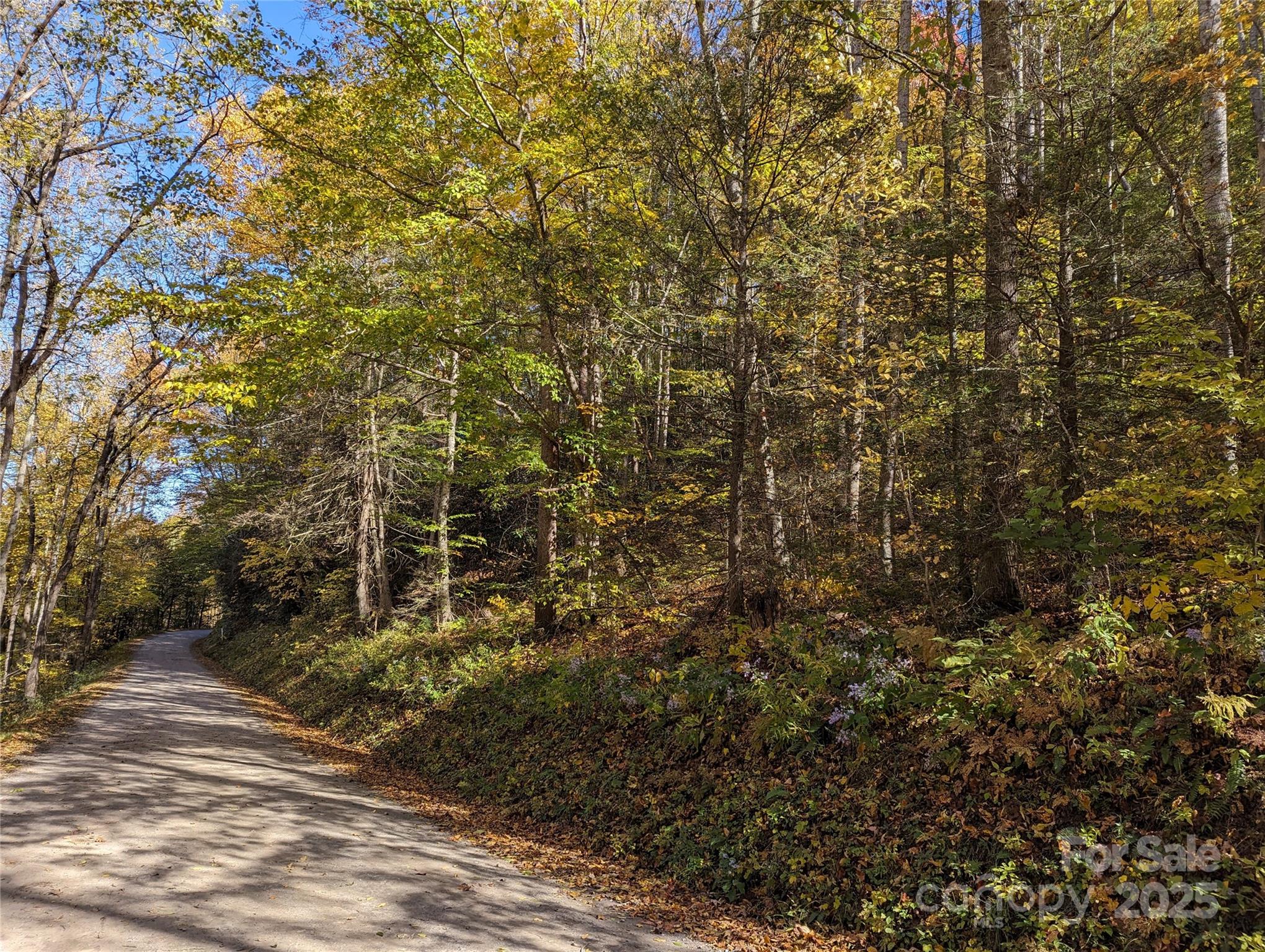 00 White Oak Road, Waynesville, NC 28786