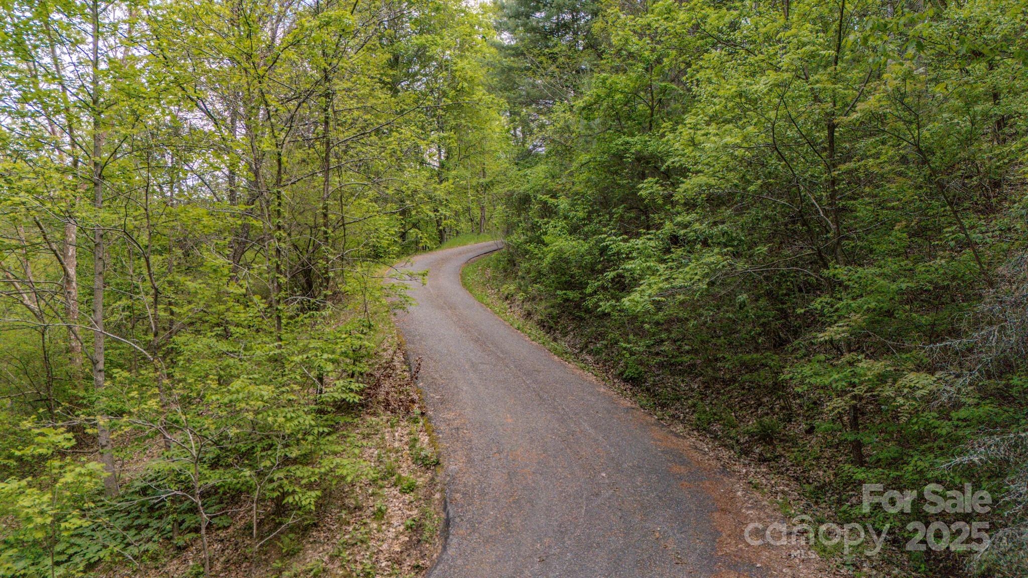 000 Buena Vista Drive, Barnardsville, NC 28709