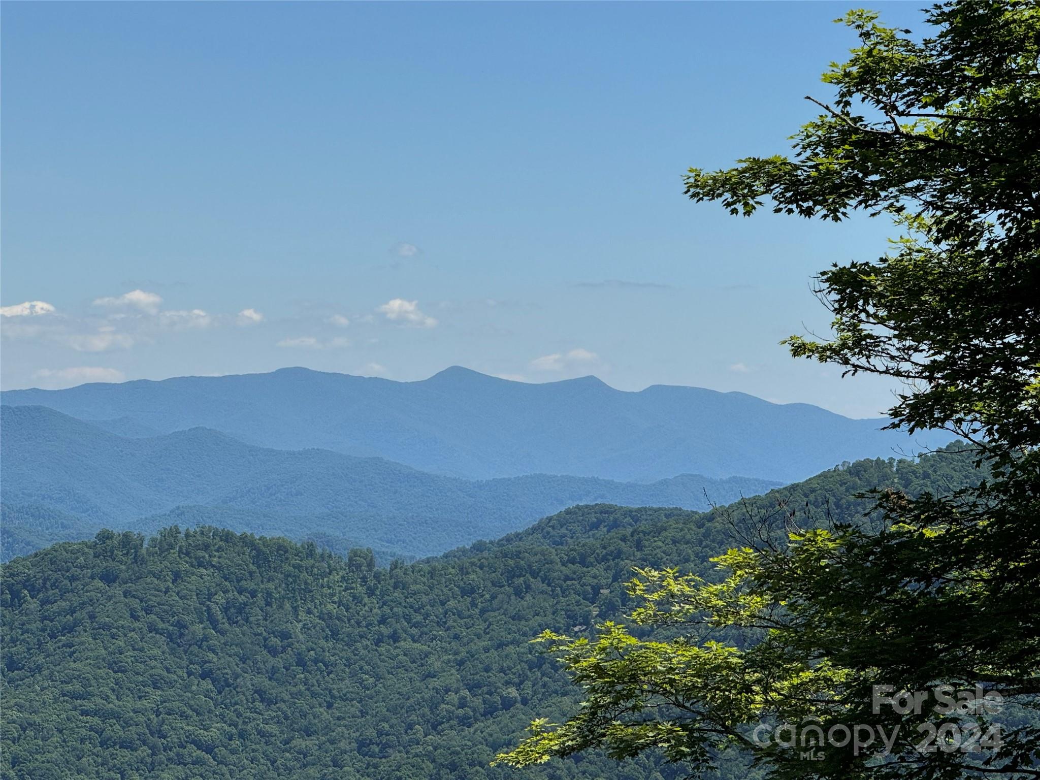 346 Birch Springs Lane, Mars Hill, NC 28754