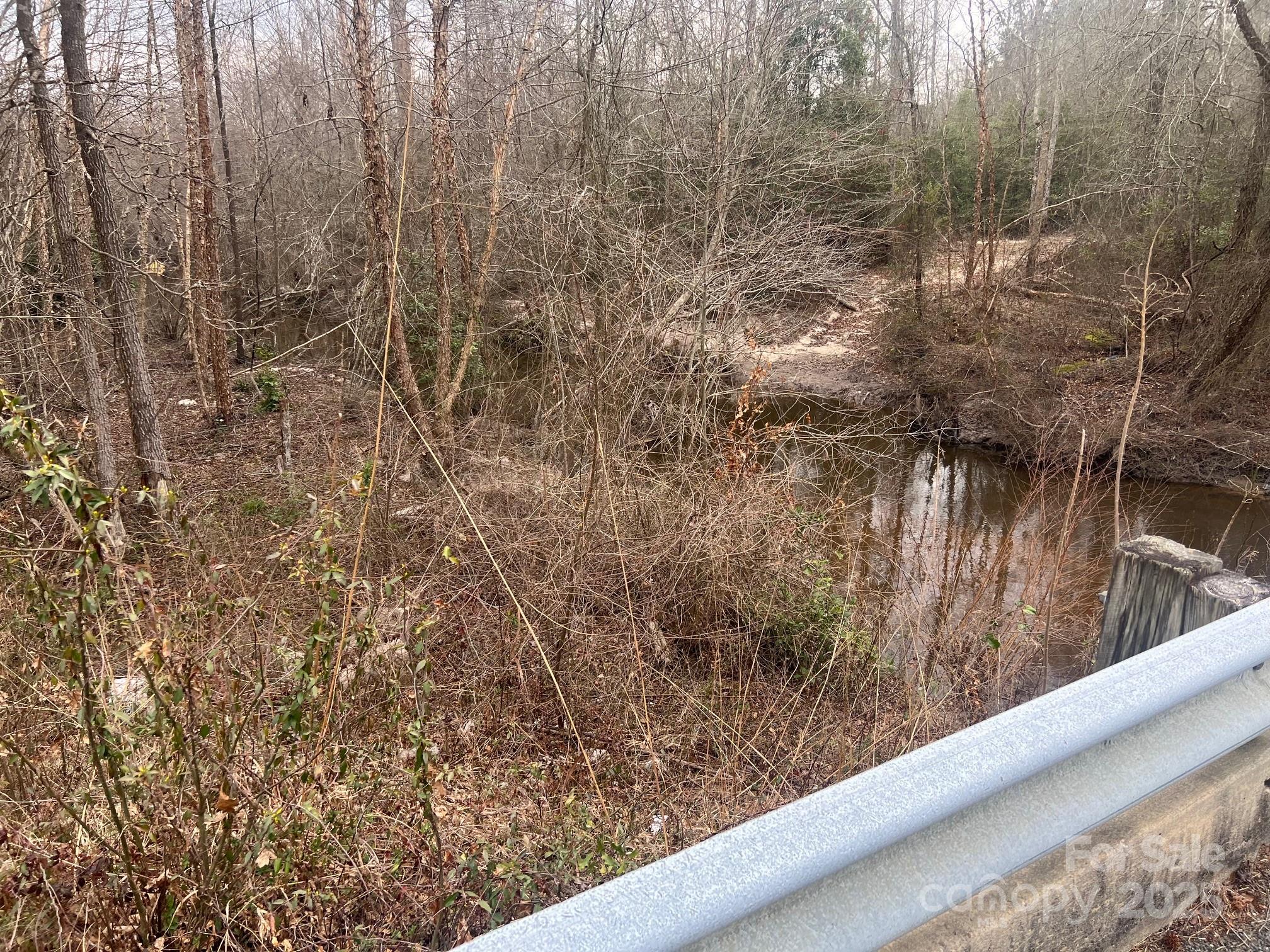 tbd Steen Road, Mount Croghan, SC 29727