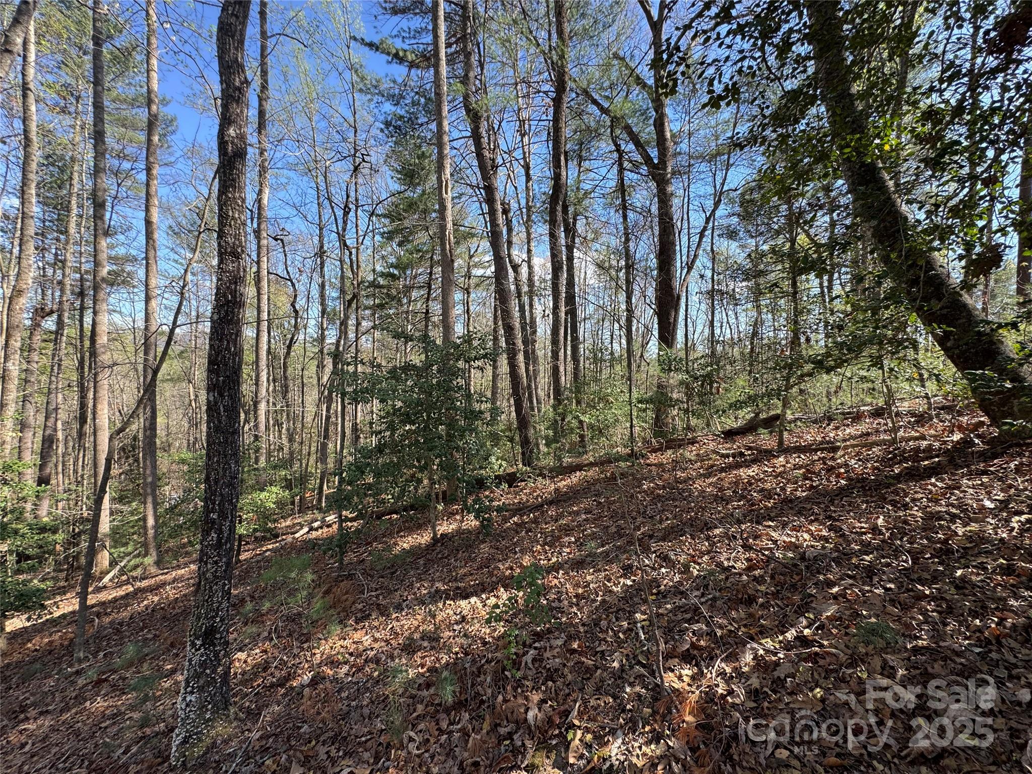 0 Rusty Lane, Lenoir, NC 28645