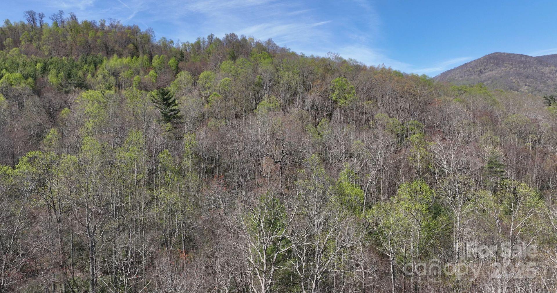 0 Gusher Knob Road, Newland, NC 28657