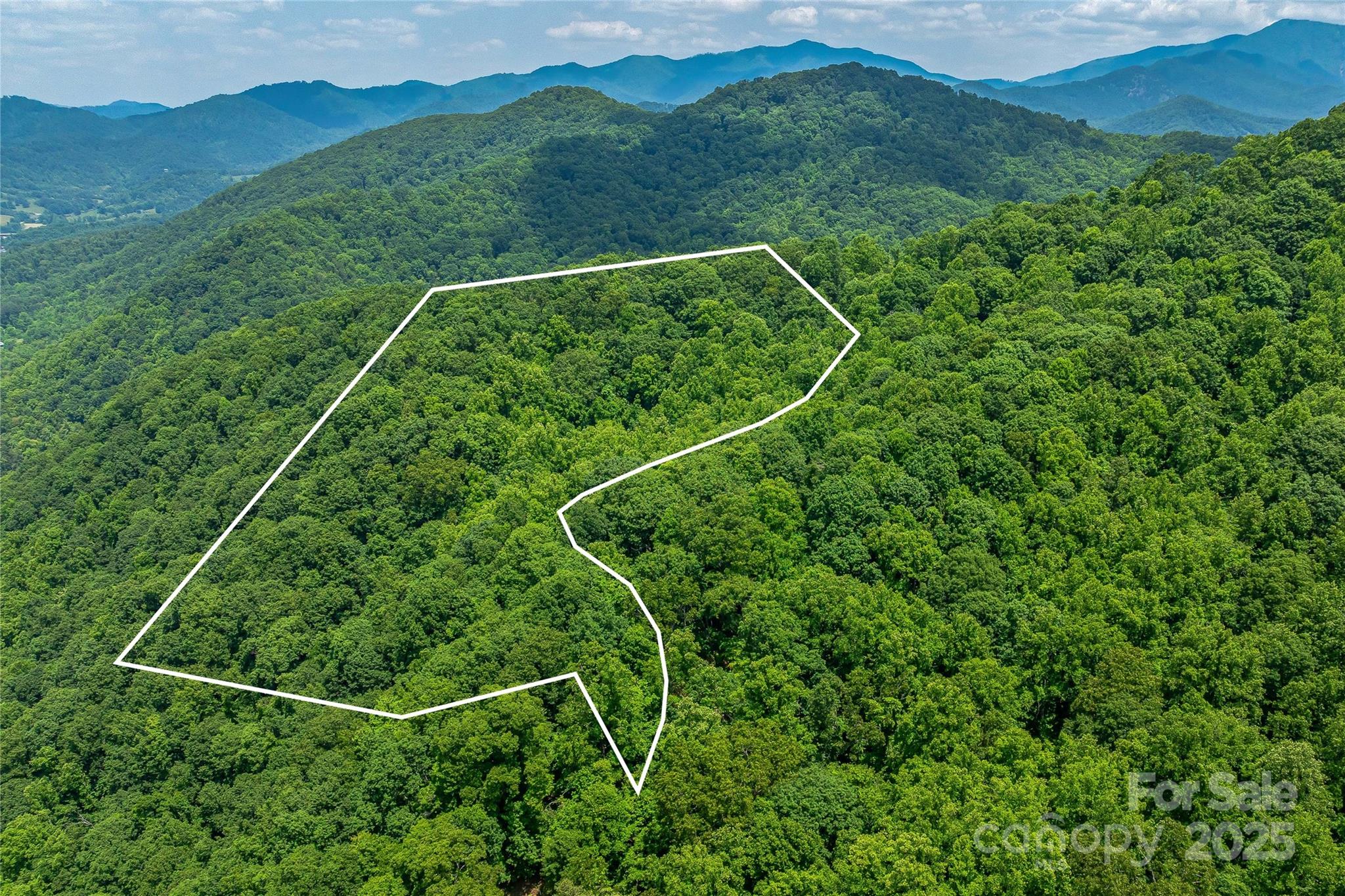 99999 Countryside Estate, Barnardsville, NC 28709