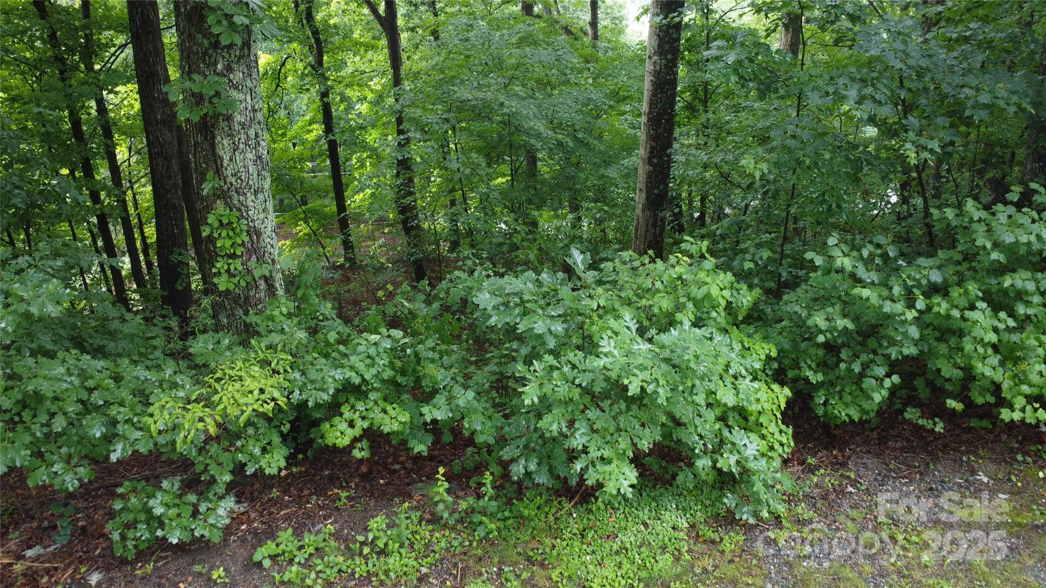 #46 Hemlock Trail, Columbus, NC 28722