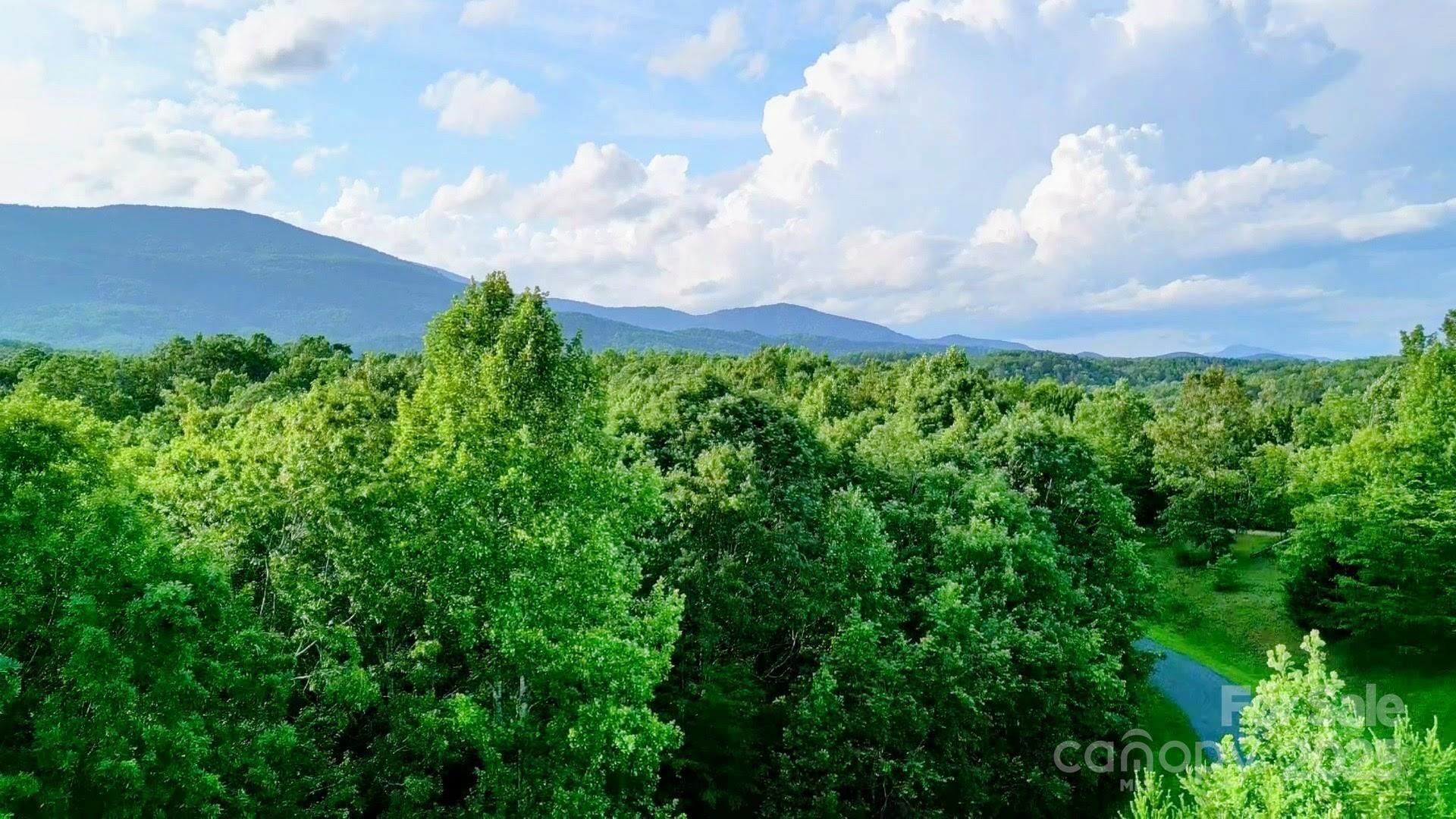 Lot 19 Fallen Tree Lane, Mill Spring, NC 28756