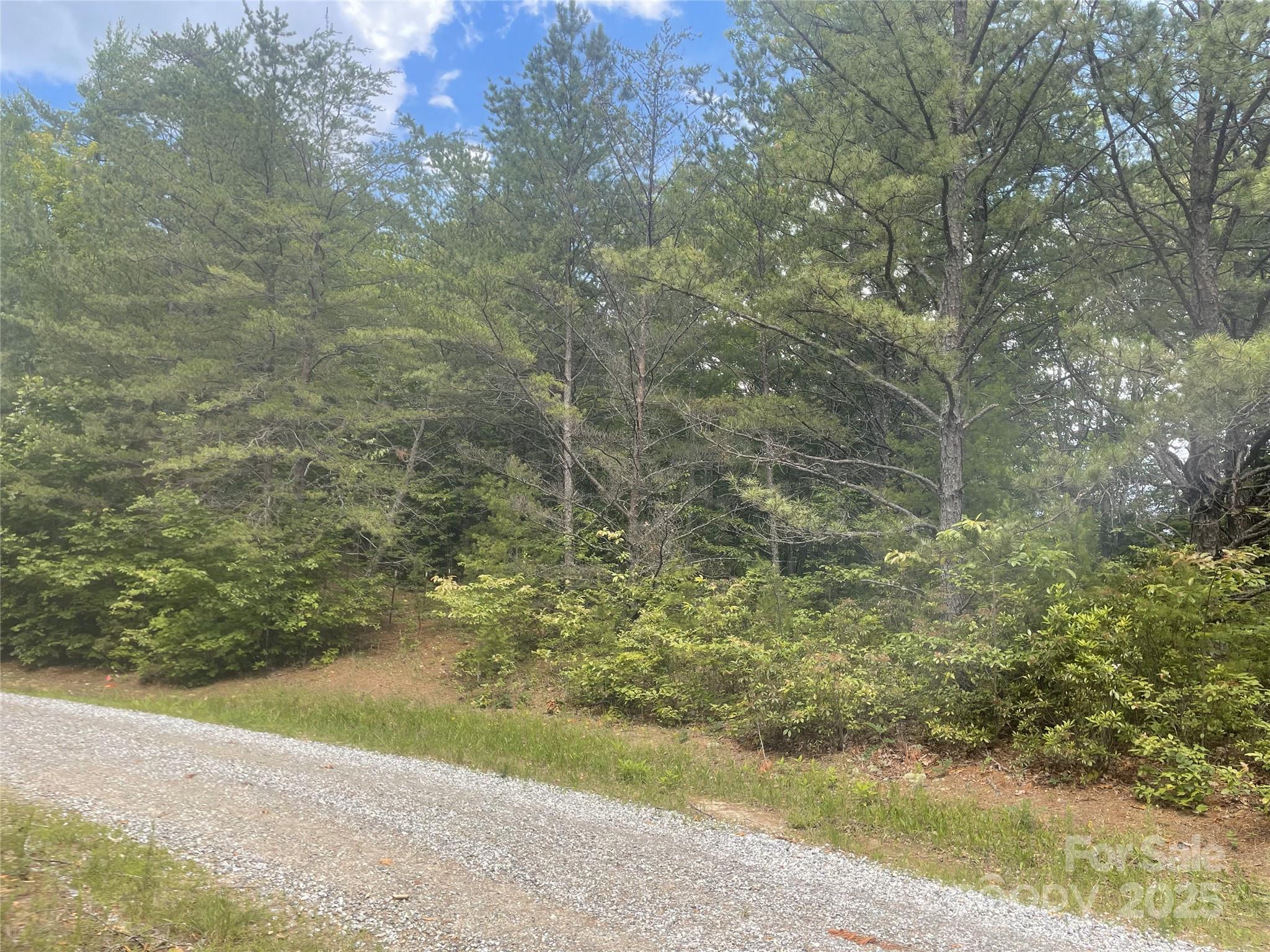 lot 38 Deer Crossing None, Ferguson, NC 28624