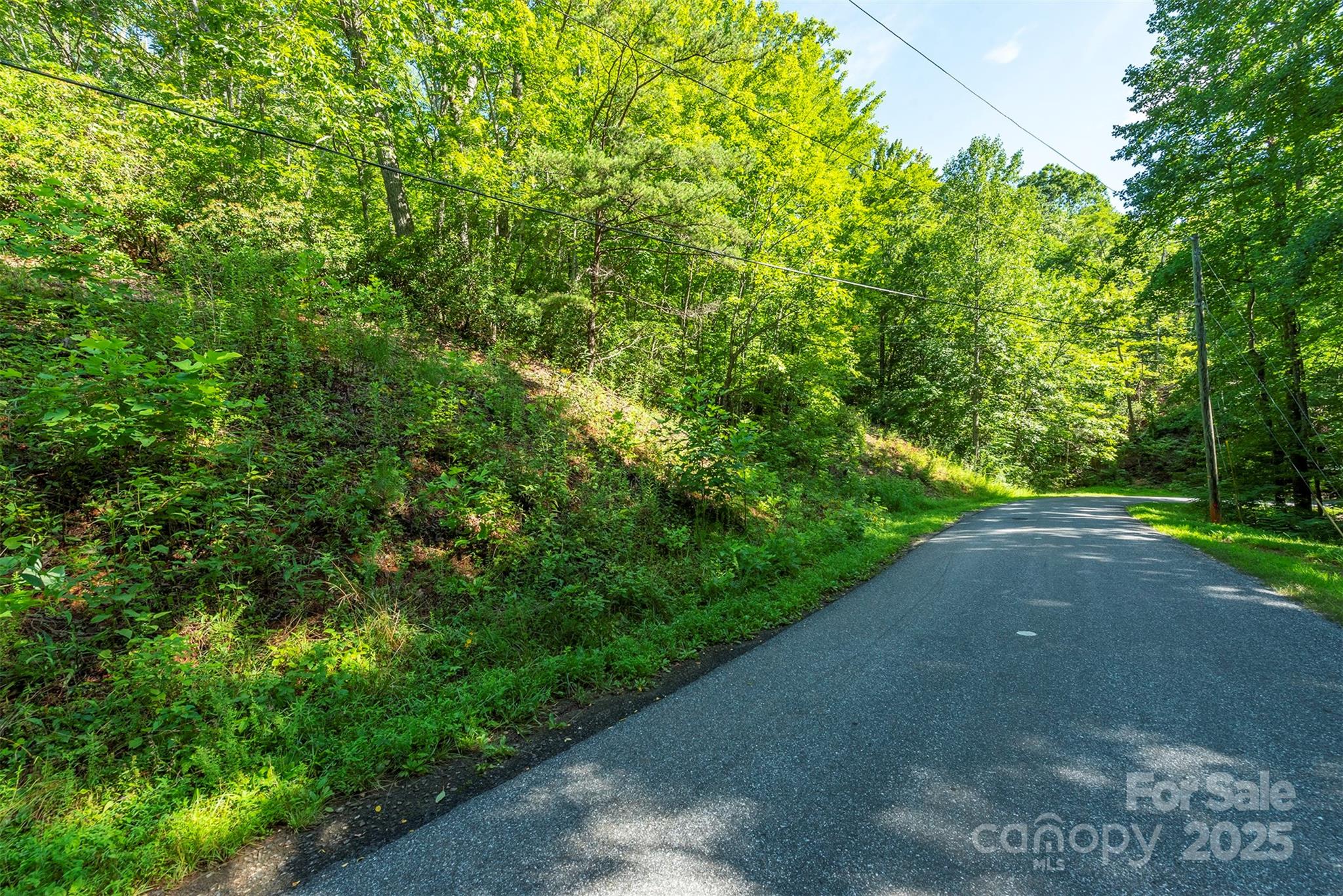 TBD McKenzie Way, Old Fort, NC 28762