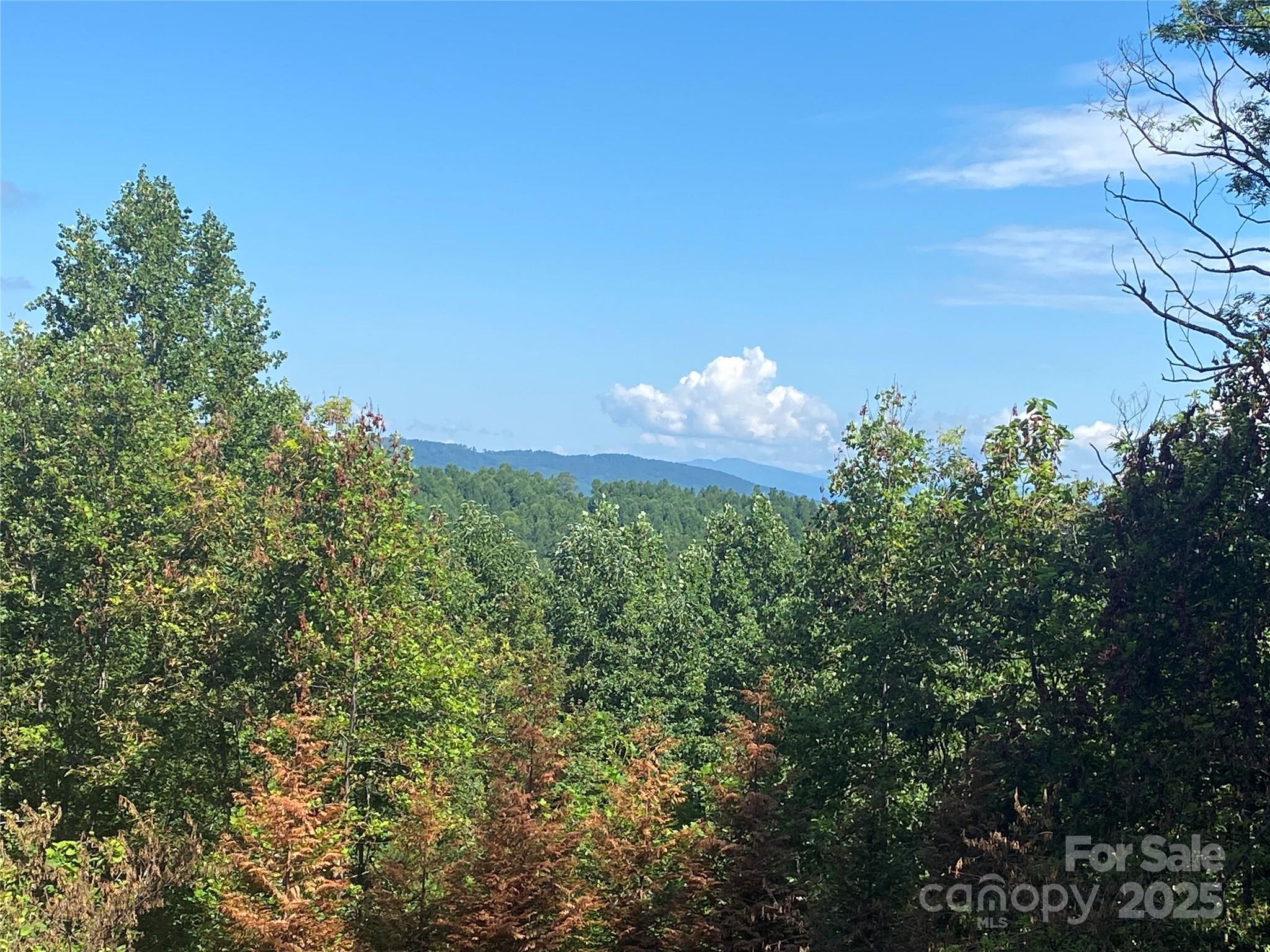 125 Brindlewood Drive, Nebo, NC 28761