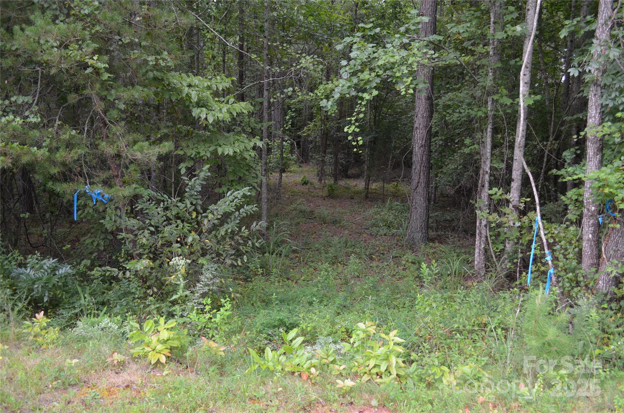 0 Old Morganton Road, Union Mills, NC 28139