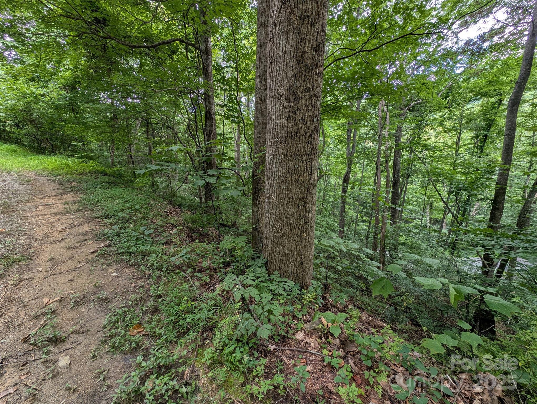 99999 Whispering Woods Path, Mars Hill, NC 28754