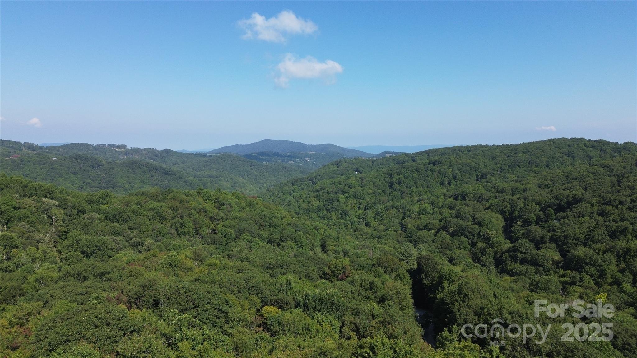 154 Raccoon Road, Beech Mountain, NC 28604
