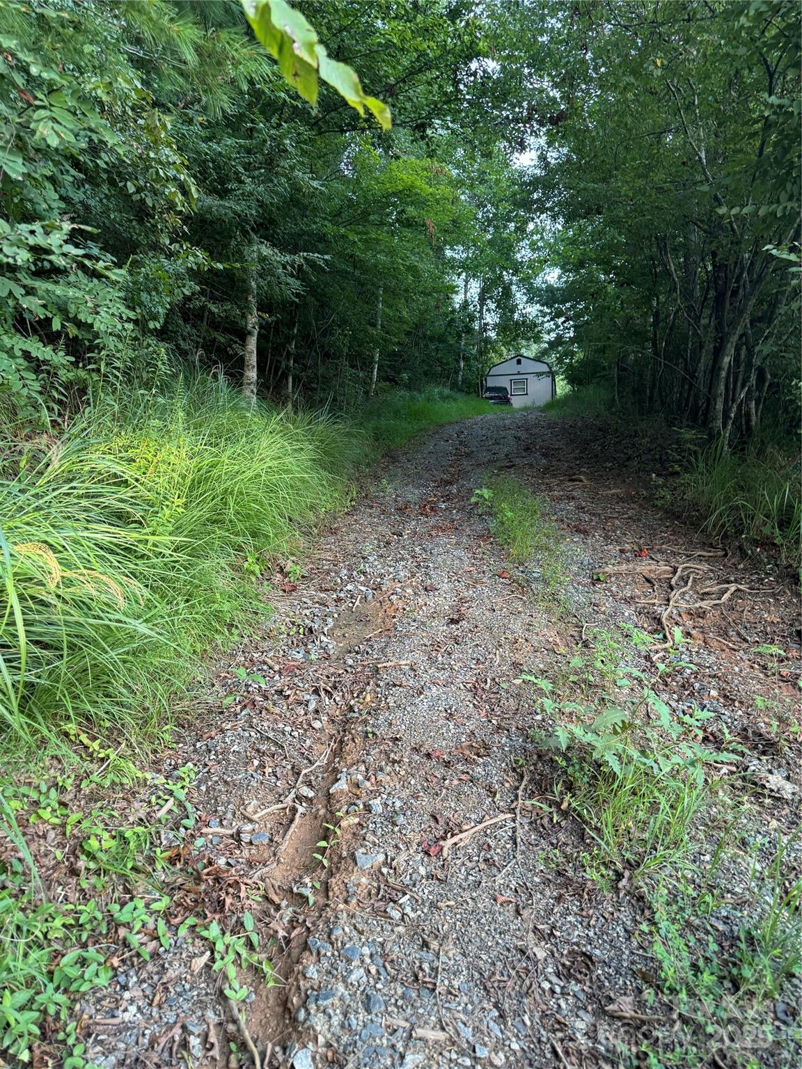 TBD Grapevine Road, Marshall, NC 28753