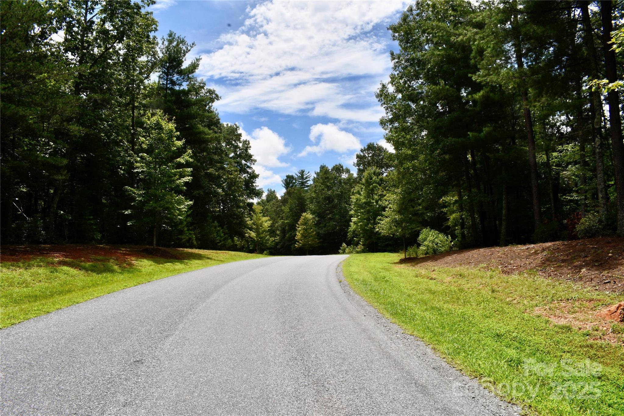 257 Beacon Ridge Drive, Nebo, NC 28761