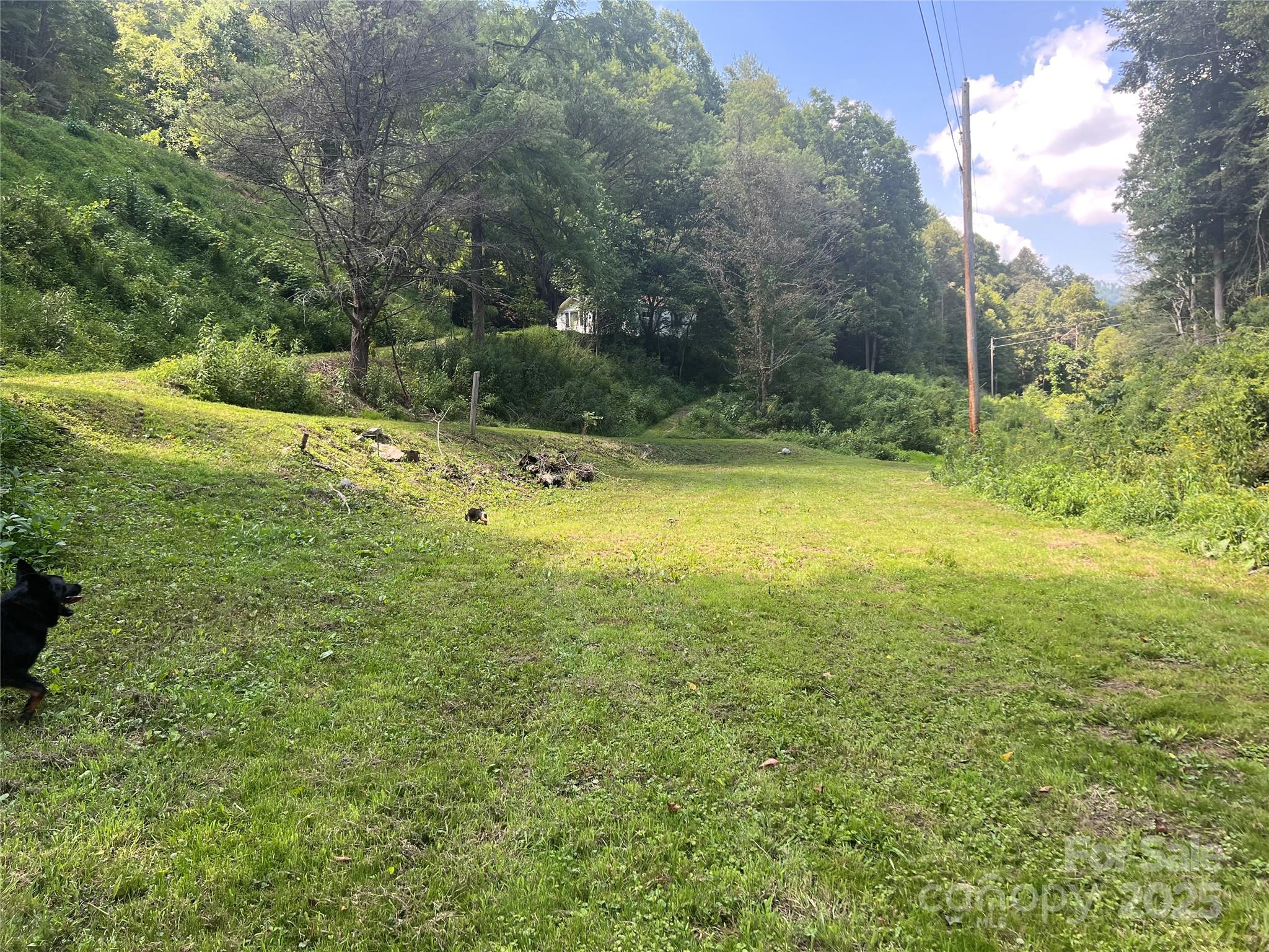 5981 Revere Road, Marshall, NC 28753