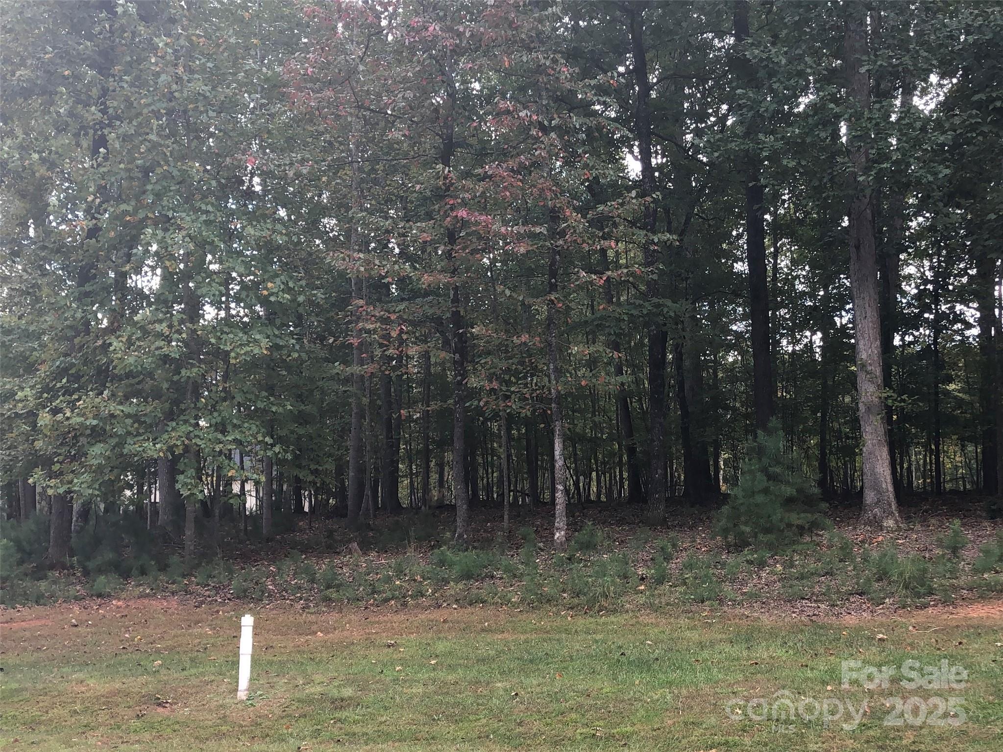 6223 Hollow Oak Drive, Mint Hill, NC 28227