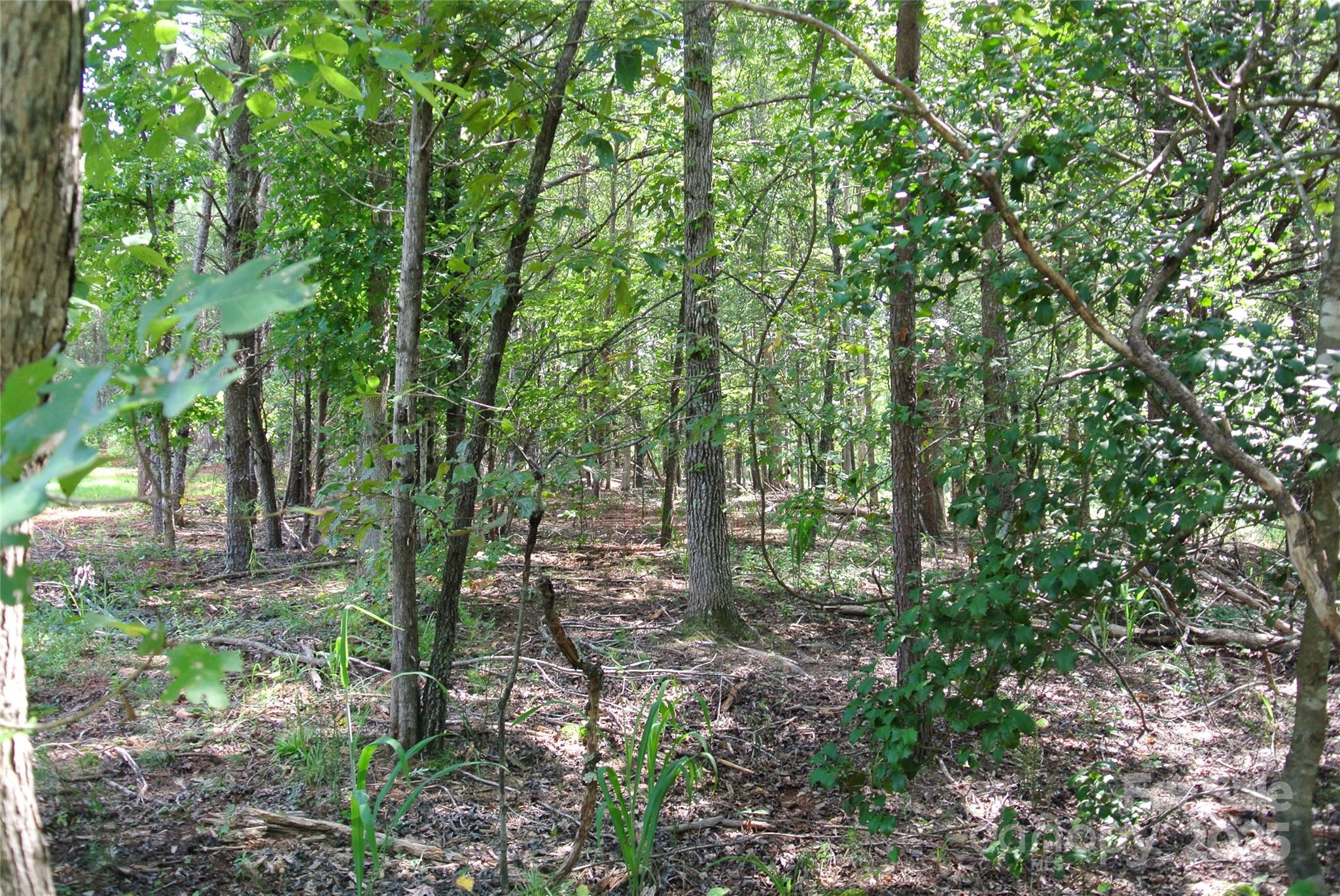 Lot 32 Whispering Pines Circle, Forest City, NC 28043