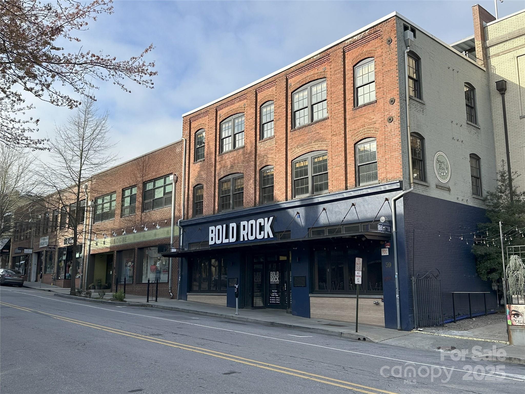 39 Lexington Avenue, Asheville, NC 28801
