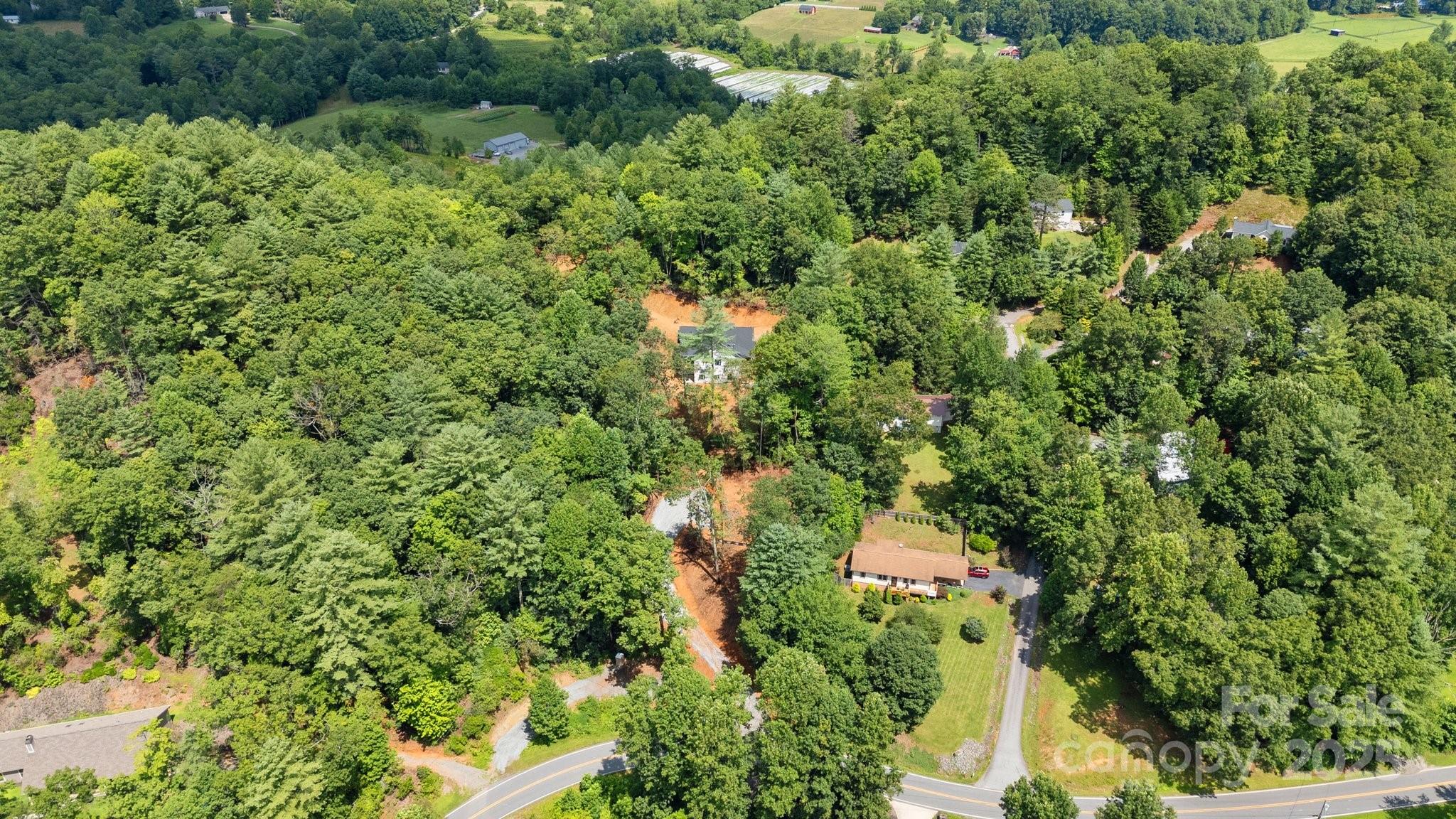 0 Terrace Forest Trail, Horse Shoe, NC 28742