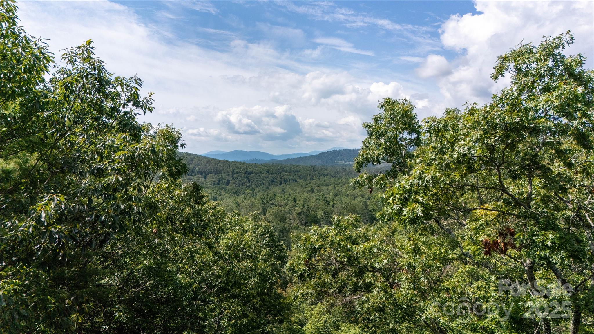 0000 Humpback Mountain Road, Spruce Pine, NC 28777